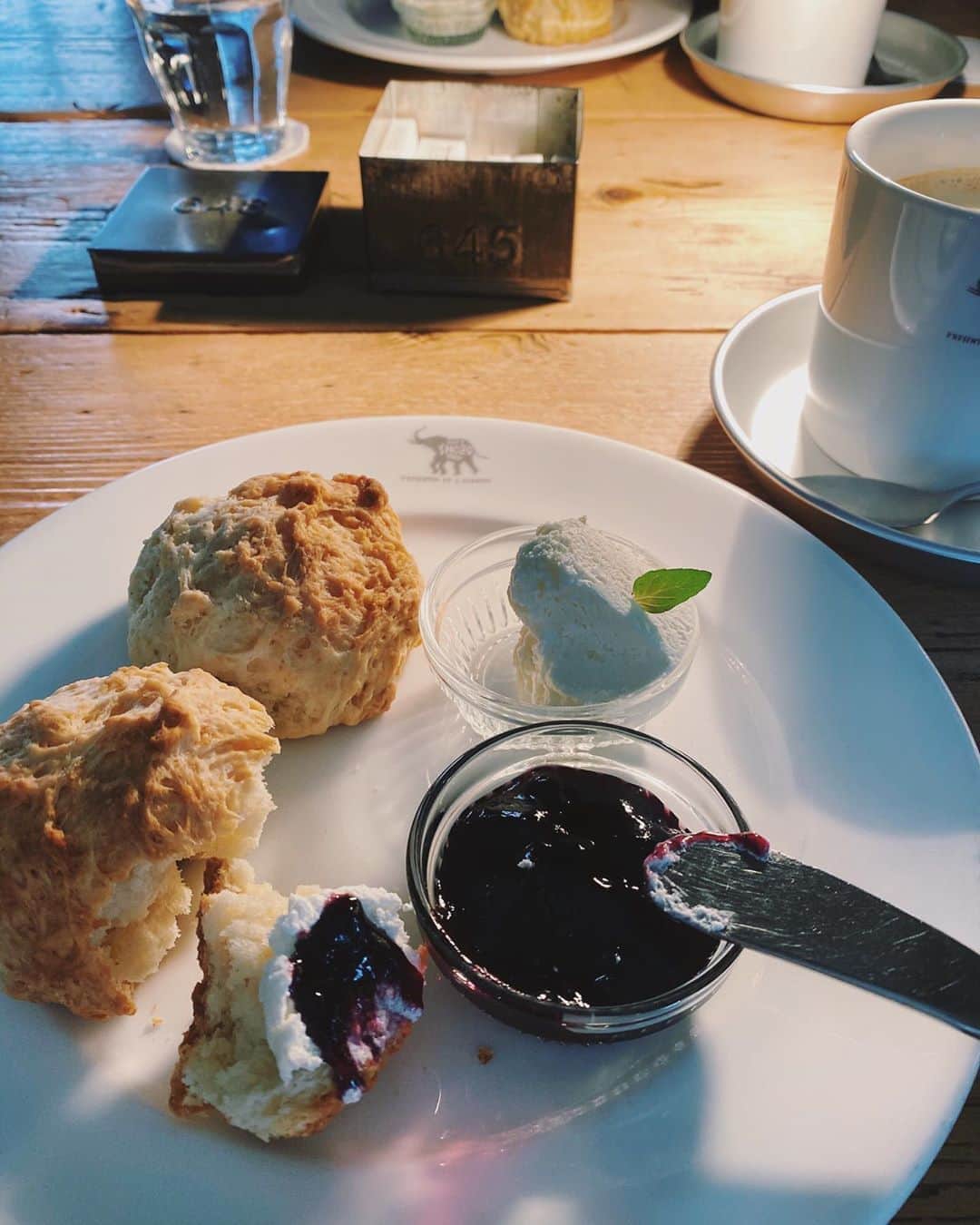 高橋美穂のグルメインスタ