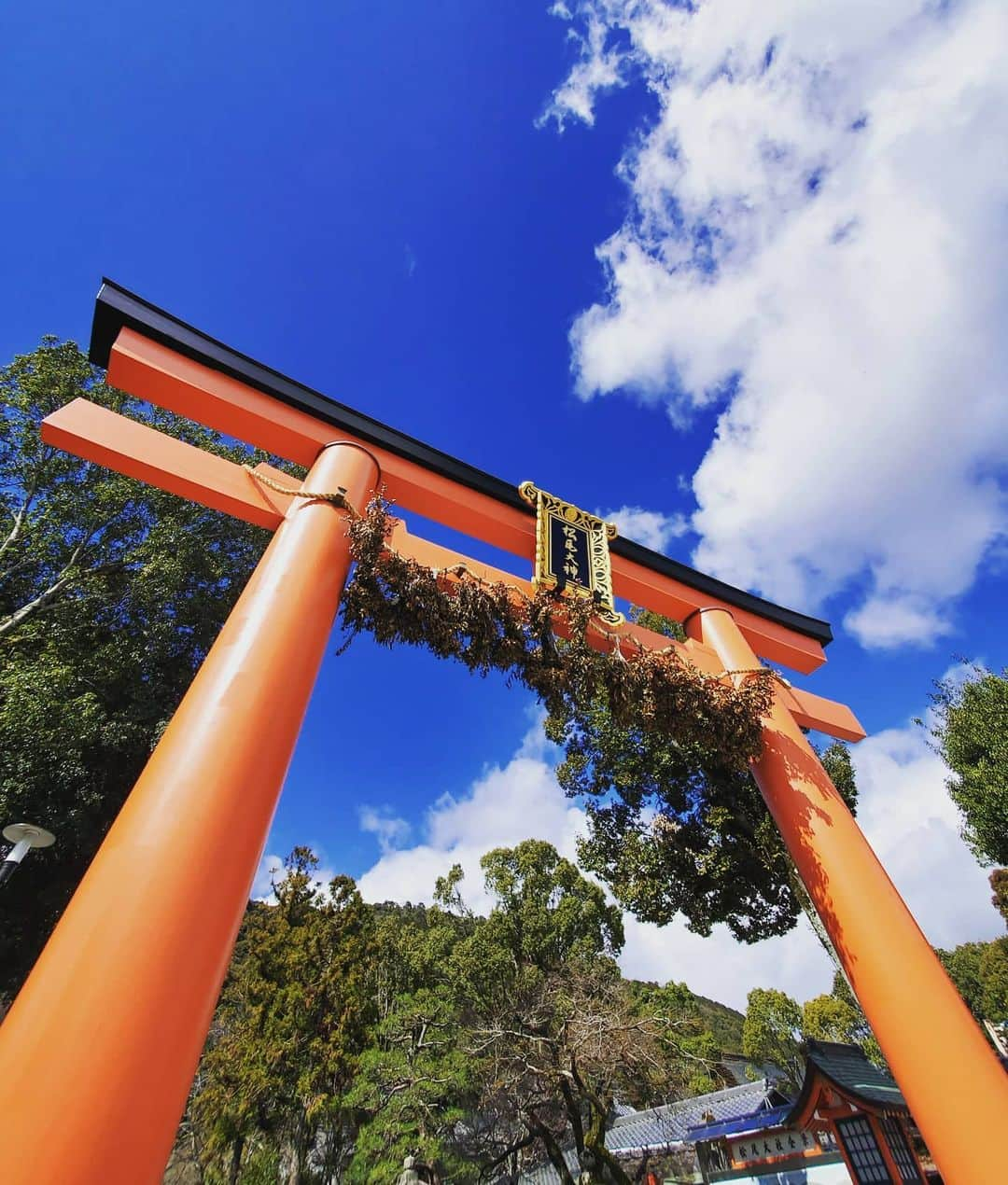 市川笑野さんのインスタグラム写真 - (市川笑野Instagram)「松尾大社にて。 鳥居に榊を吊るした脇勧請。 １年の農作物を占う古代の形態だそうです。 #松尾大社 #脇勧請 #榊 #鳥居 #農作物を占う #kyoto #japan」3月17日 19時02分 - emino.i