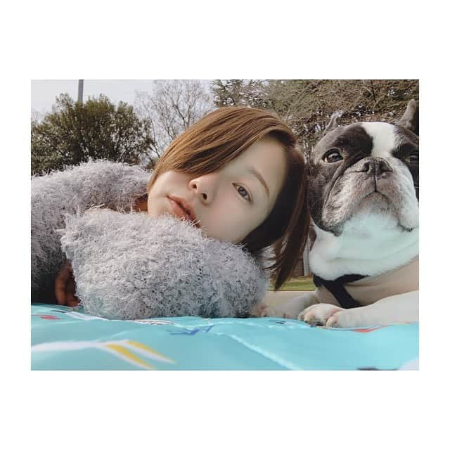 田中美保さんのインスタグラム写真 - (田中美保Instagram)「今日はほんのり暖かかったのでピクニック❣️ モフちゃんご満悦…🤗 3枚目の👶…え？…w レジャーシートから脱走ハイハイしてイキナリゴロンと… 気持ちよかったのかな？w  そろそろ春の予感…ピクニック日和な日が沢山ありますように🥳  #ピクニック #flenchbulldog  #フレブル #ポカポカ日和  #愛犬」3月17日 19時14分 - miho12tanaka