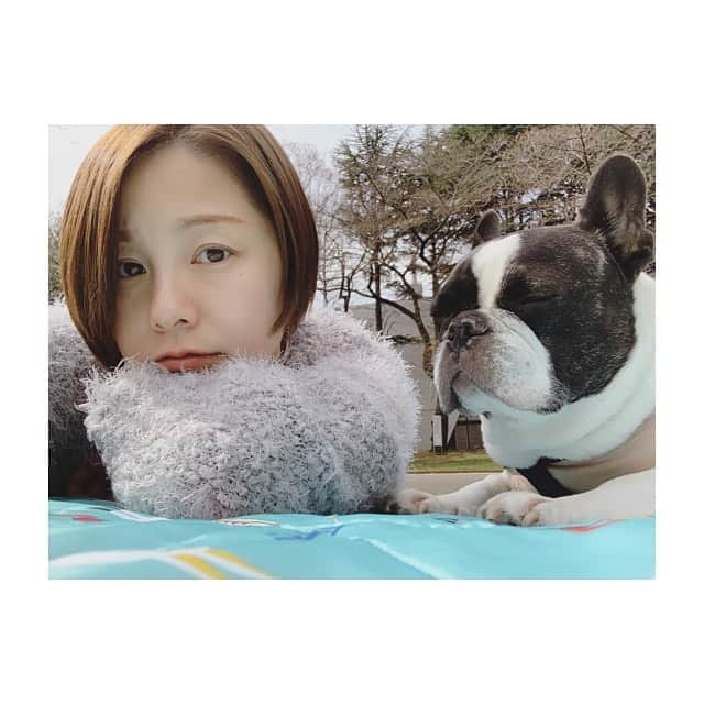 田中美保さんのインスタグラム写真 - (田中美保Instagram)「今日はほんのり暖かかったのでピクニック❣️ モフちゃんご満悦…🤗 3枚目の👶…え？…w レジャーシートから脱走ハイハイしてイキナリゴロンと… 気持ちよかったのかな？w  そろそろ春の予感…ピクニック日和な日が沢山ありますように🥳  #ピクニック #flenchbulldog  #フレブル #ポカポカ日和  #愛犬」3月17日 19時14分 - miho12tanaka