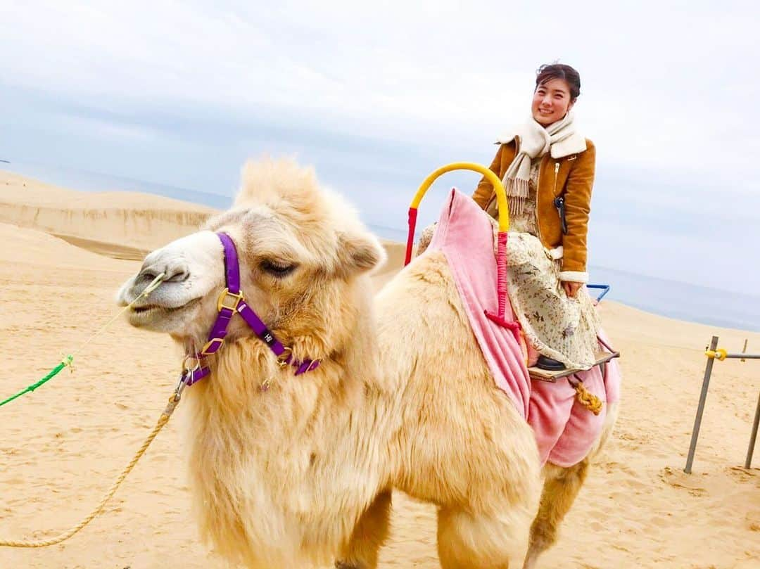 逢月あかりさんのインスタグラム写真 - (逢月あかりInstagram)「鳥取砂丘でラクダ乗り🐪 ここは日本？！と思うような風景でした🌵 . . ラクダは人懐っこいらしく、穏やかで可愛かった😍 . . #鳥取砂丘#鳥取 #らくだ#🐫 #もふもふ」3月17日 19時09分 - akari.ouzuki