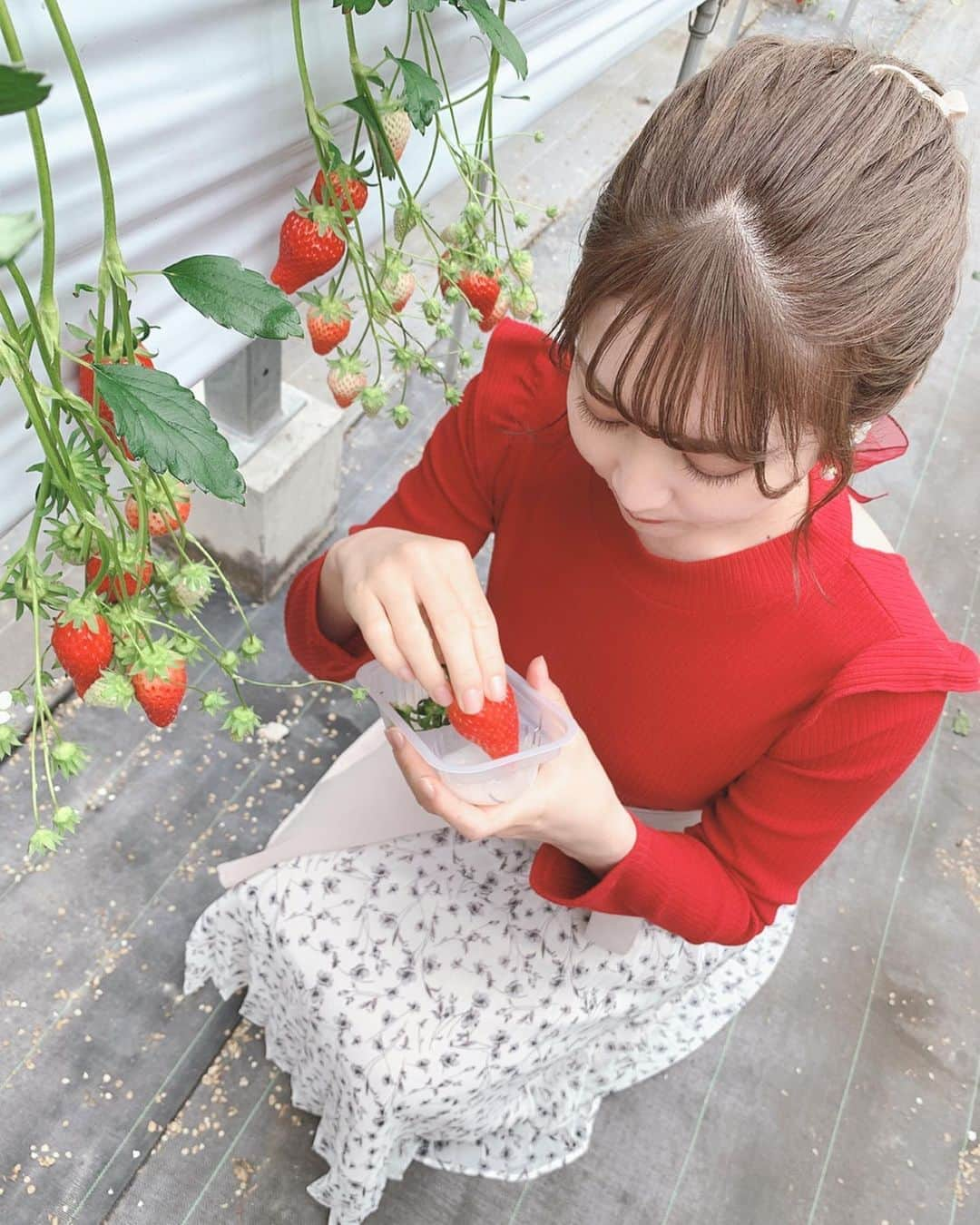 沢井里奈さんのインスタグラム写真 - (沢井里奈Instagram)「♡ . ‪ いちご狩りまた行きたいな🍓🌸‬ . #strawberry #instafood #ootd #coodinate #instafashion #instalove #instalove #사복 #옷스타그램 #팔로우 #셀카 #얼스타그램 #메이크업 #いちご狩り #いちご #澤田農園 #常滑 #今日のコーデ #いちご狩りコーデ #沢井里奈」3月17日 19時10分 - sawairina