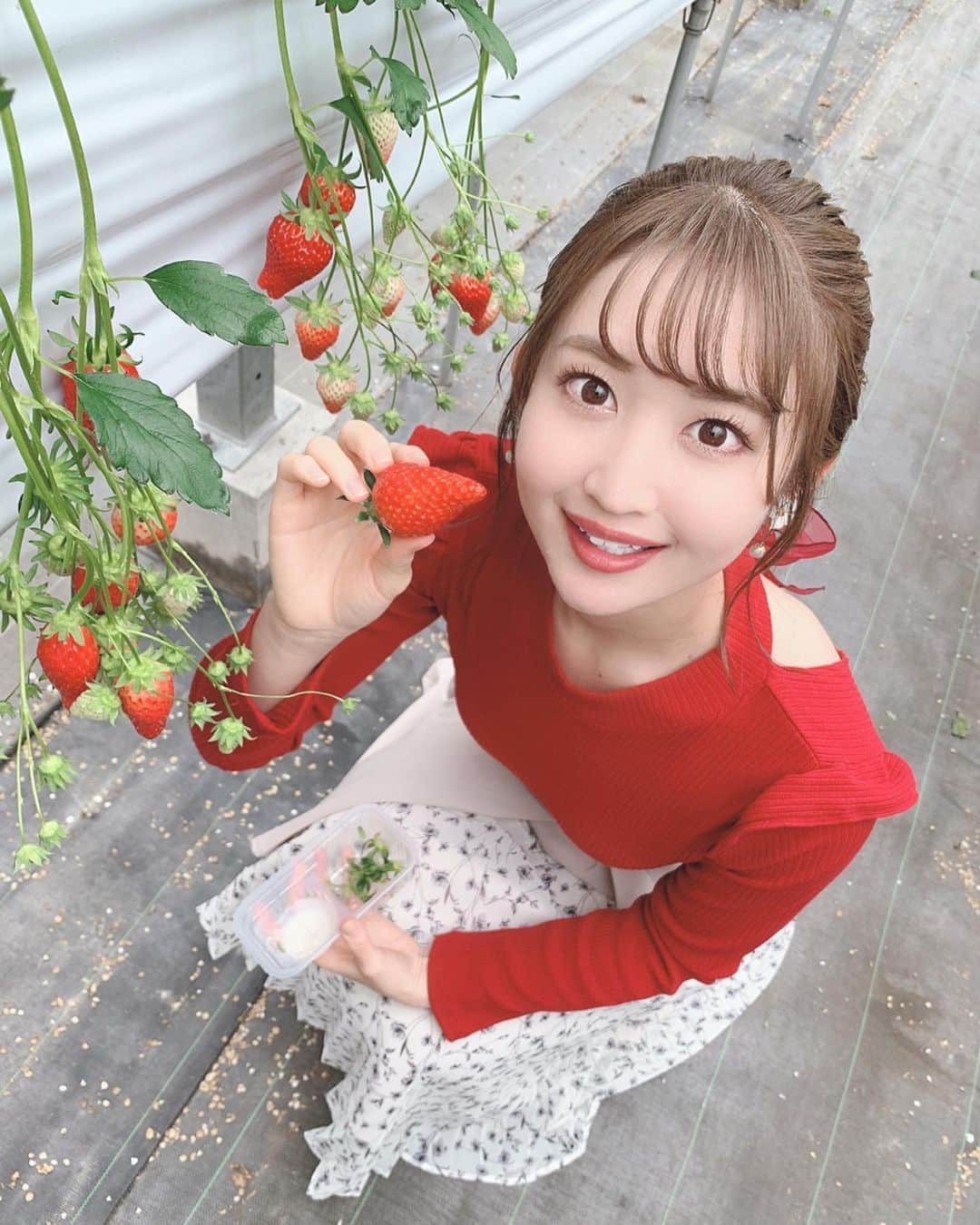 沢井里奈さんのインスタグラム写真 - (沢井里奈Instagram)「♡ . ‪ いちご狩りまた行きたいな🍓🌸‬ . #strawberry #instafood #ootd #coodinate #instafashion #instalove #instalove #사복 #옷스타그램 #팔로우 #셀카 #얼스타그램 #메이크업 #いちご狩り #いちご #澤田農園 #常滑 #今日のコーデ #いちご狩りコーデ #沢井里奈」3月17日 19時10分 - sawairina