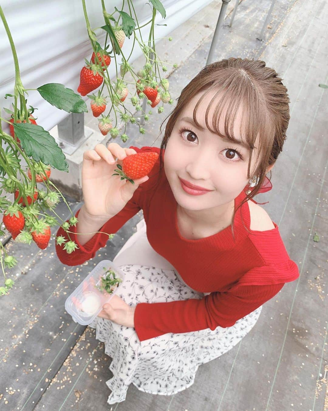 沢井里奈さんのインスタグラム写真 - (沢井里奈Instagram)「♡ . ‪ いちご狩りまた行きたいな🍓🌸‬ . #strawberry #instafood #ootd #coodinate #instafashion #instalove #instalove #사복 #옷스타그램 #팔로우 #셀카 #얼스타그램 #메이크업 #いちご狩り #いちご #澤田農園 #常滑 #今日のコーデ #いちご狩りコーデ #沢井里奈」3月17日 19時10分 - sawairina