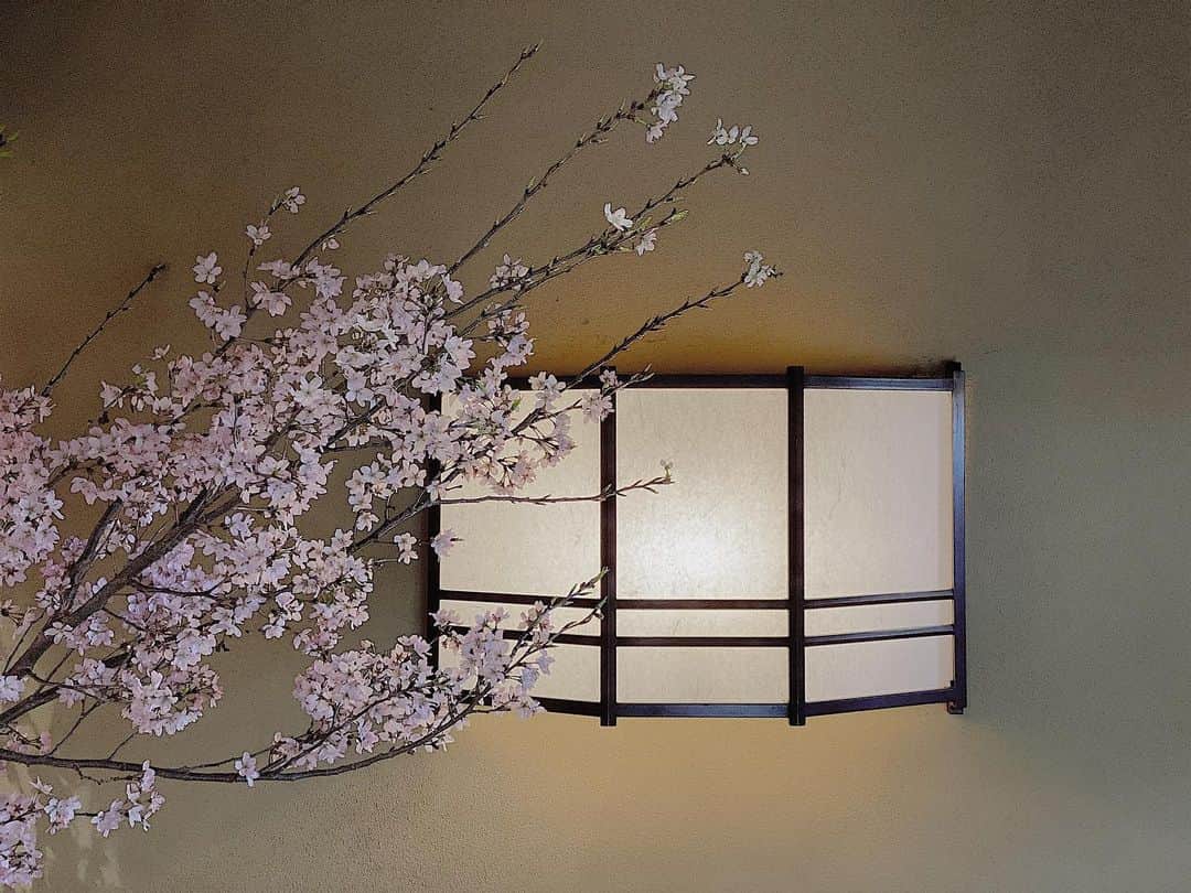 THE SODOH OFFICIALのグルメインスタ