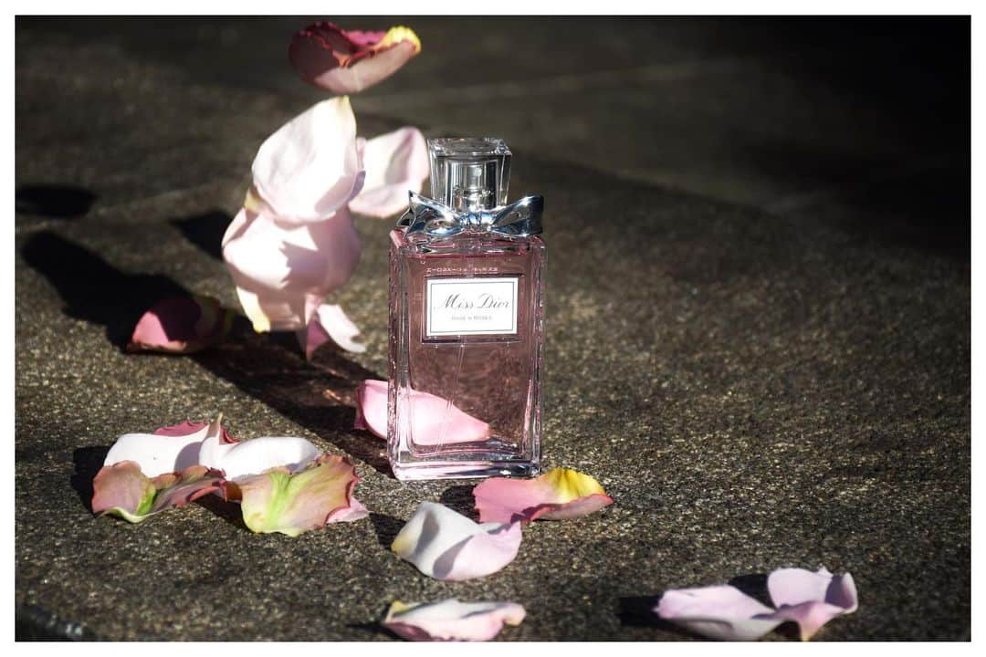 木村心美さんのインスタグラム写真 - (木村心美Instagram)「お庭で写真を撮りました。 #diorparfums」3月17日 19時45分 - cocomi_553_official