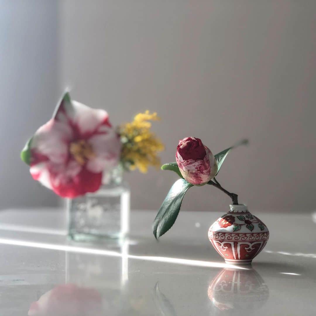 中川政七商店さんのインスタグラム写真 - (中川政七商店Instagram)「「糊をこぼしたような、不思議な椿。」﻿﻿﻿ ﻿﻿﻿ 奈良オフィスの庭に、不思議な模様の椿を見つけたので、小さな花器「涙壺」と一緒にしつらえてみました。﻿﻿ ﻿﻿ これは、もしや、「糊こぼし」・・・？﻿﻿﻿ ﻿﻿﻿ 糊こぼしとは、奈良・東大寺に咲く椿の品種のこと。﻿﻿﻿ 奈良に春を告げる東大寺の伝統行事「お水取り」の際、堂内にも同じ模様の造花の椿が飾られています。﻿﻿﻿ その不思議な名前は、糊をこぼしてしまったかのような斑点があることから、名付けられました。﻿﻿ ﻿﻿ ﻿ ﻿ その昔、 練行衆がこの造花の椿をつくっていたとき、赤い紙に糊を誤ってこぼしてしまい、白い斑点のある赤い椿になってしまったのだそう。﻿﻿﻿ しかしそのまだら模様の椿が、偶然にも東大寺・開山堂の庭に咲く椿の花に似ていて、それ以来「糊こぼし椿」として呼ばれています。﻿﻿﻿ ﻿ ﻿﻿----﻿ 同じくこの時期には、糊こぼし椿を模した赤と白の鮮やかな和菓子「のりこぼし」が奈良のあちこちで売られています。﻿﻿﻿ ﻿﻿﻿ 写真の満々堂さんは、色鮮やかな椿の模様の箱に入っていてとてもかわいいのりこぼし。また来年、奈良にいらした際は、ぜひ探してみてくださいね。﻿﻿﻿ ﻿﻿﻿ ▶︎涙壺 赤絵 達磨型／¥3,300﻿﻿ (一部直営店では同じ絵付けのものご用意ございます。オンラインショップには、別注の淡いお色のご用意がございます)﻿﻿ ﻿ ﻿﻿ #中川政七商店 商店 #のりこぼし #椿 #ツバキ #椿の花 #椿の花咲く頃 #奈良 #奈良観光 #奈良旅行 #奈良が好き #奈良で暮らす #お水取り #東大寺二月堂 #植物のある暮らし #植物 #植物のある生活 #花のある暮らし #花のあるくらし #春の陽気　#ミモザ好き #mimosa  #花のある生活 #花好き #flower #flowerstagram #暮らしを楽しむ #暮らしの記録﻿」3月17日 19時53分 - nakagawamasa7