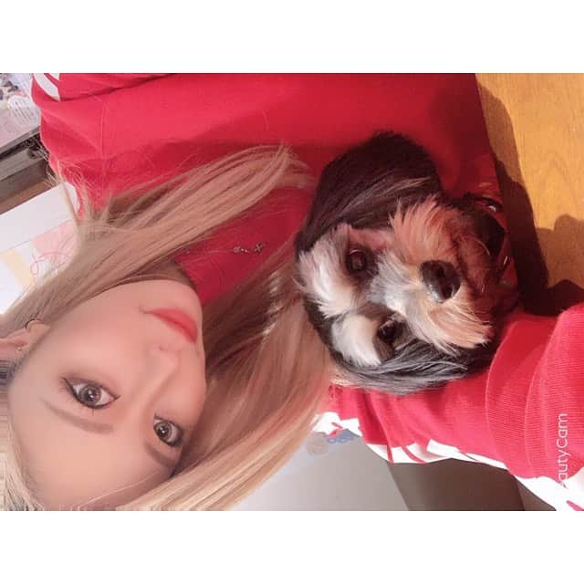 櫻井綾奈のグルメインスタ