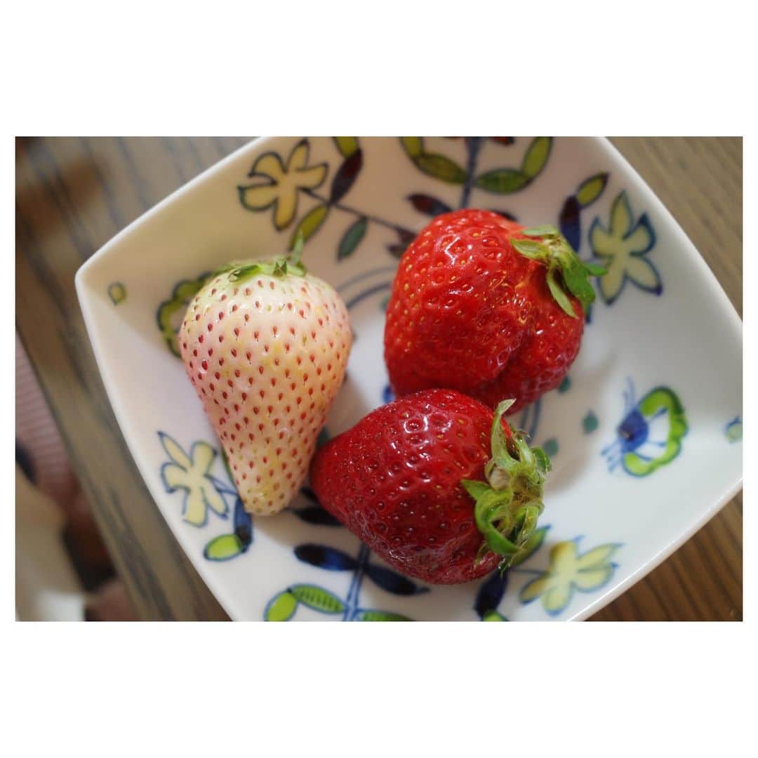 高垣麗子さんのインスタグラム写真 - (高垣麗子Instagram)「・ ・ ・ 日頃からお世話になっている方から 幸せ過ぎるプレゼントを いただきました‼︎‼︎ こんな立派でおしゃれな苺は 自分では買えない𓂃🤭 大興奮する娘のとなりで わたしも大興奮‼︎✨ ・ ・ #strawberry  #🍓」3月17日 20時06分 - reikotakagaki