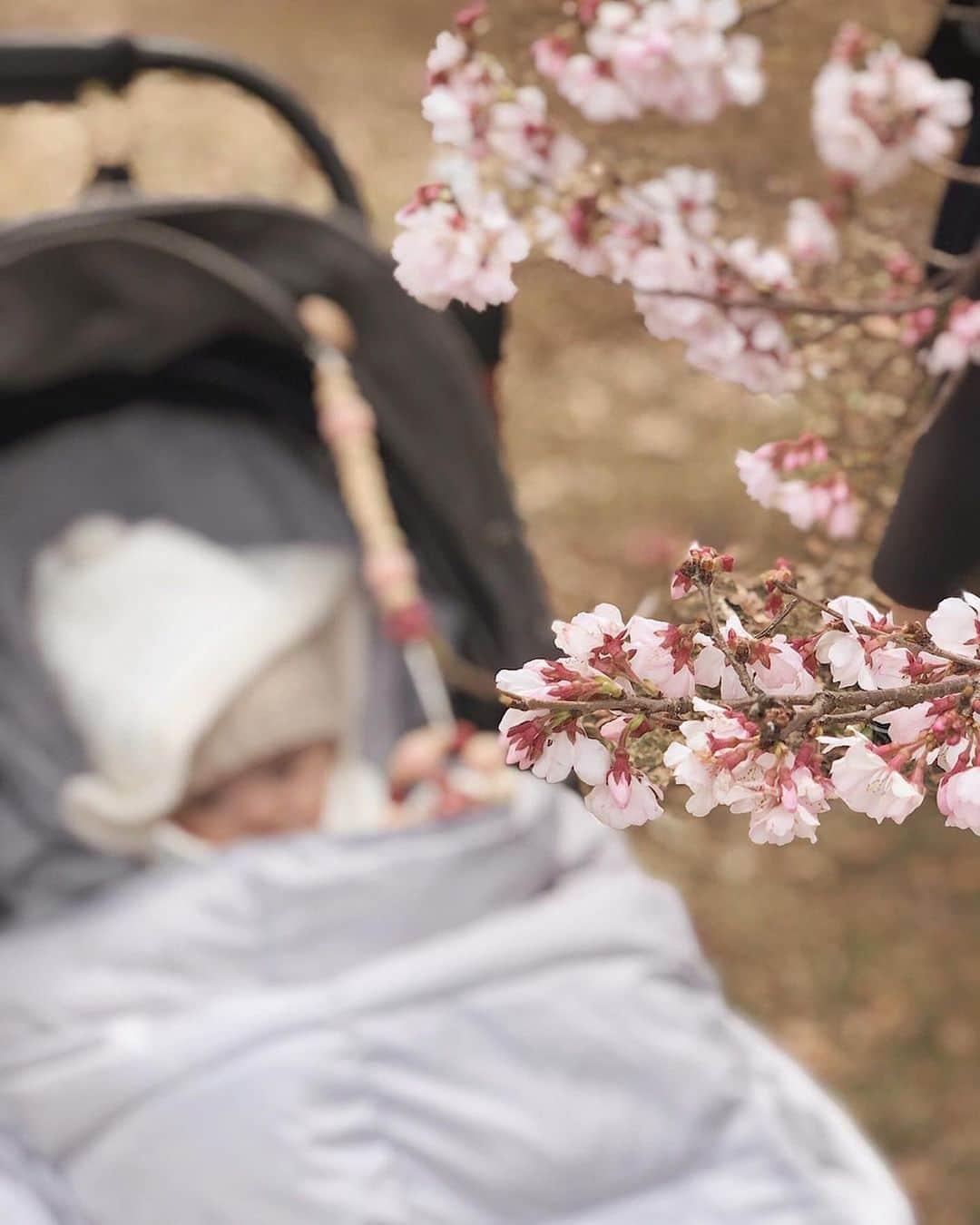 酒匂彩名さんのインスタグラム写真 - (酒匂彩名Instagram)「: 桜を探して雨じゃなければ毎日お散歩してる🌸 しかし今日はほっぺたガッツリ日焼けしててショック🤯 : #桜　#お花見　#早咲き　 #来週はソメヨシノが見頃かな #楽しみだなぁ　#コロナに負けるな　 #japan #sakura #spring」3月17日 20時35分 - ayanasakoh