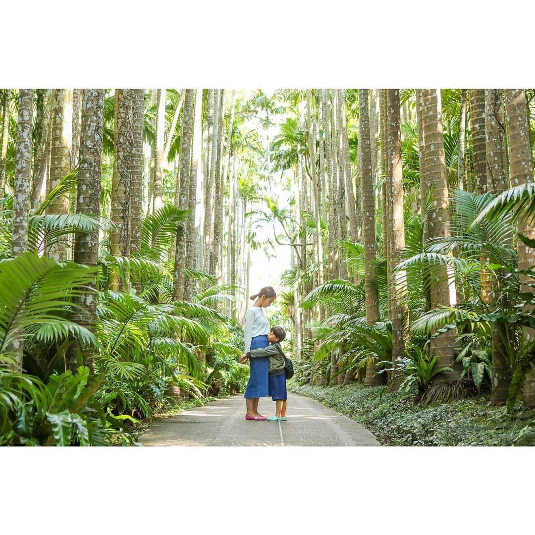 KOBOのグルメインスタ