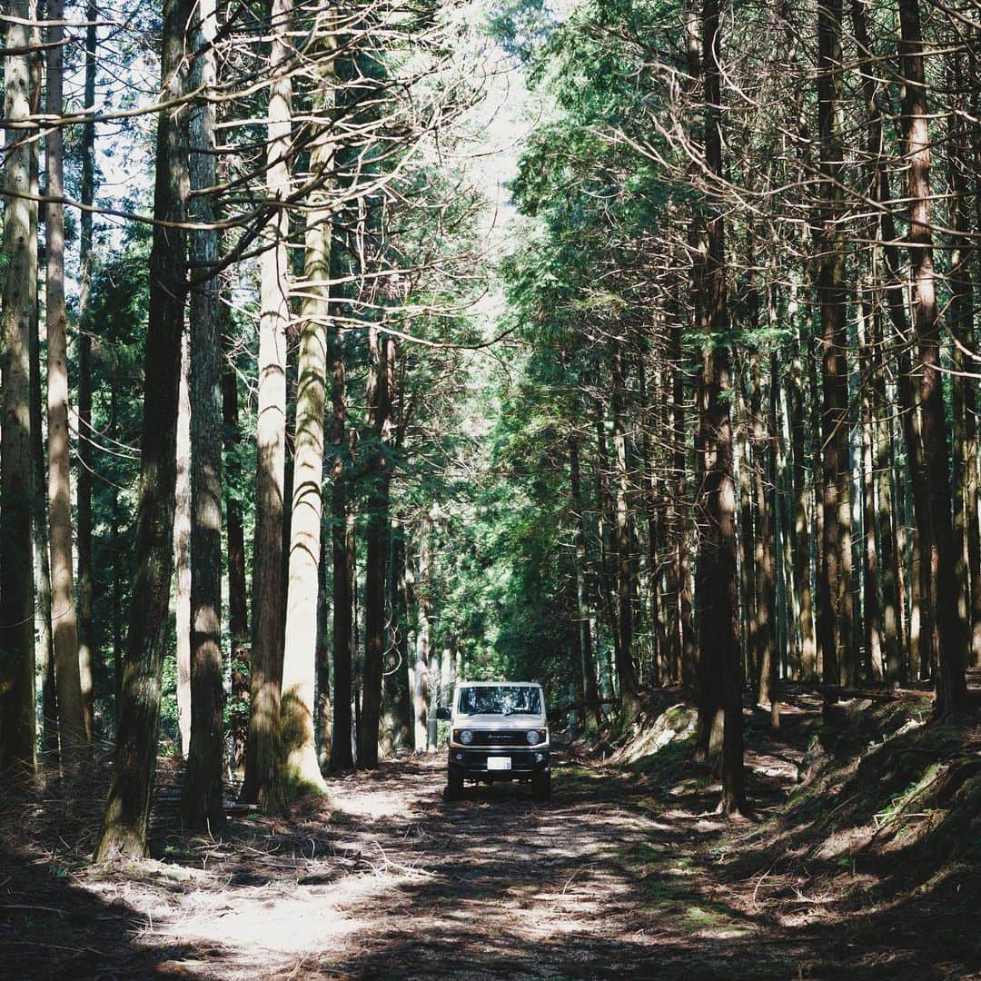 Takafumi Gotoのインスタグラム：「🌲🚘🌲」