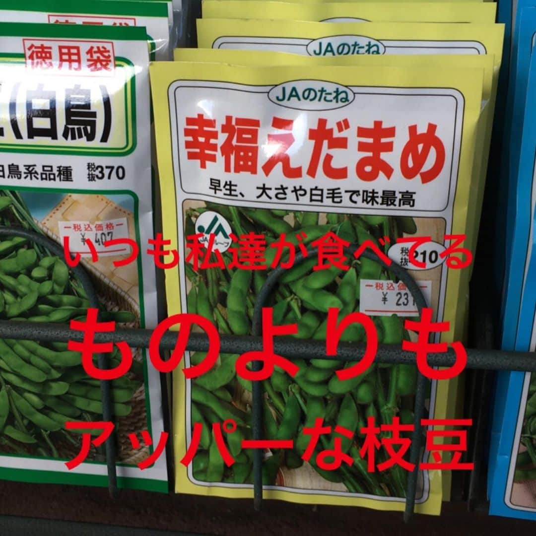 pantoviscoさんのインスタグラム写真 - (pantoviscoInstagram)「種の名前を読んでそれぞれ2秒で思った事書きました。➡︎右スワイプ➡︎ . #種のネーミングセンス好き #種コーナーあったら絶対立ち止まる #パントビスコ写真館」3月17日 21時51分 - pantovisco