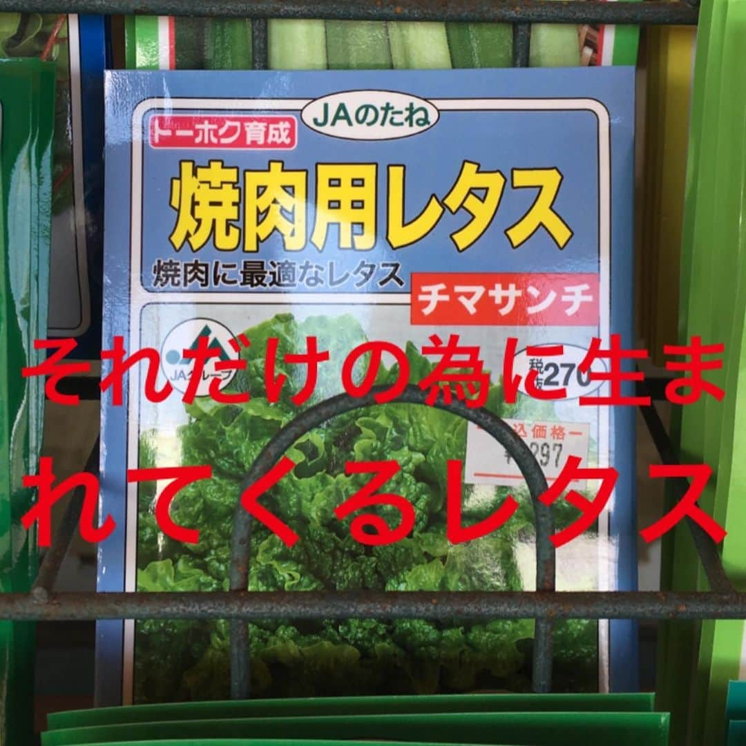 pantoviscoさんのインスタグラム写真 - (pantoviscoInstagram)「種の名前を読んでそれぞれ2秒で思った事書きました。➡︎右スワイプ➡︎ . #種のネーミングセンス好き #種コーナーあったら絶対立ち止まる #パントビスコ写真館」3月17日 21時51分 - pantovisco
