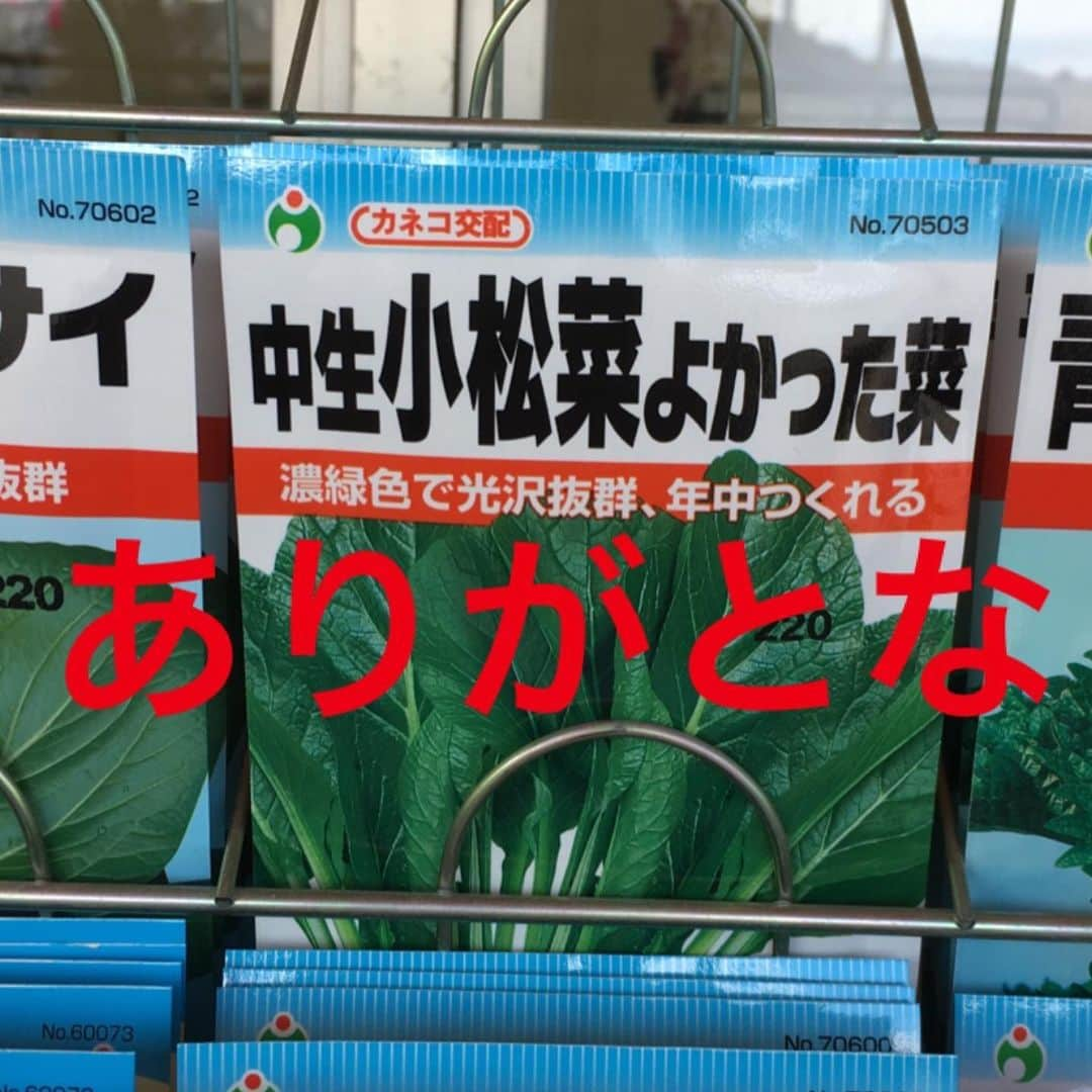 pantoviscoさんのインスタグラム写真 - (pantoviscoInstagram)「種の名前を読んでそれぞれ2秒で思った事書きました。➡︎右スワイプ➡︎ . #種のネーミングセンス好き #種コーナーあったら絶対立ち止まる #パントビスコ写真館」3月17日 21時51分 - pantovisco