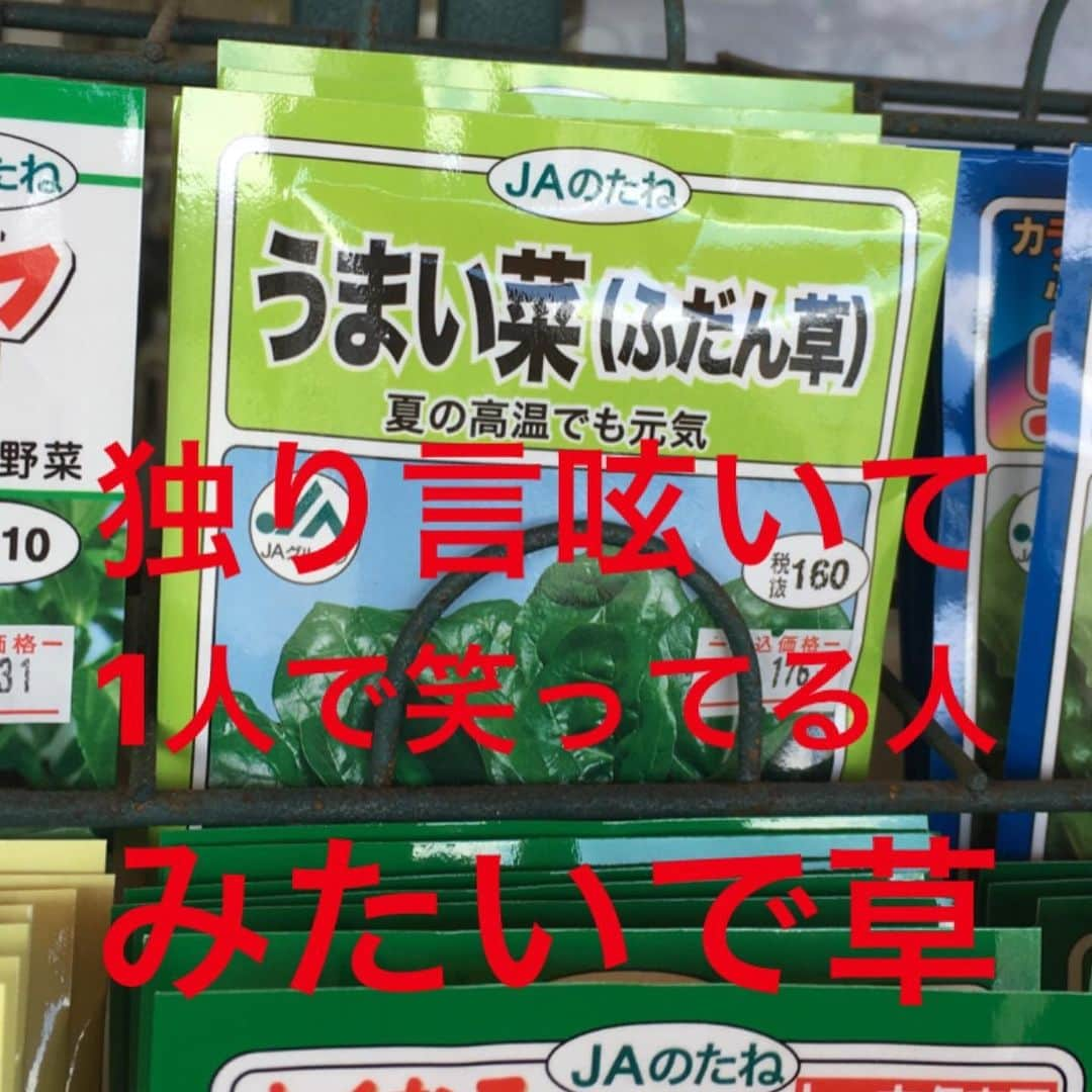 pantoviscoさんのインスタグラム写真 - (pantoviscoInstagram)「種の名前を読んでそれぞれ2秒で思った事書きました。➡︎右スワイプ➡︎ . #種のネーミングセンス好き #種コーナーあったら絶対立ち止まる #パントビスコ写真館」3月17日 21時51分 - pantovisco