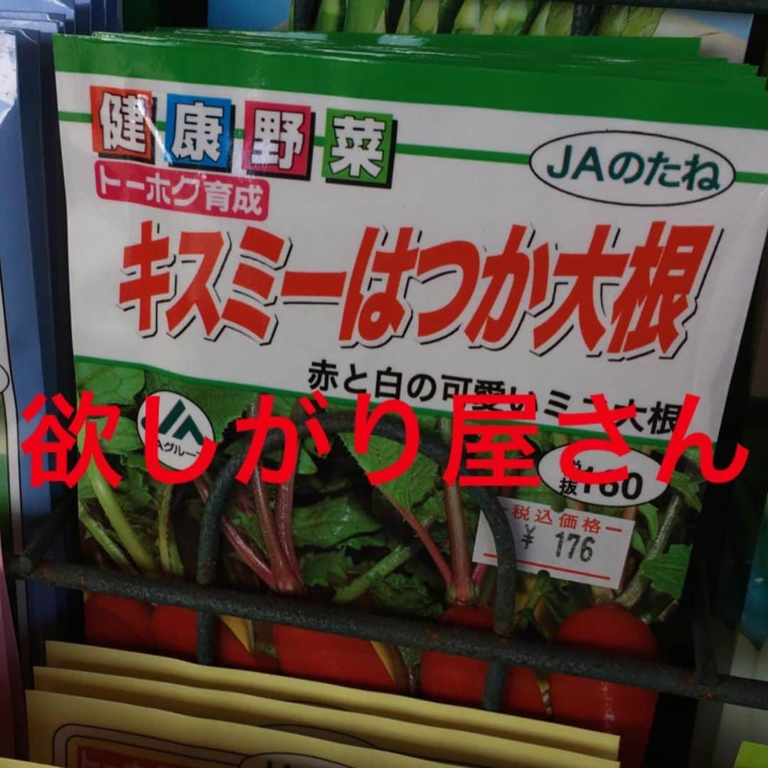 pantoviscoさんのインスタグラム写真 - (pantoviscoInstagram)「種の名前を読んでそれぞれ2秒で思った事書きました。➡︎右スワイプ➡︎ . #種のネーミングセンス好き #種コーナーあったら絶対立ち止まる #パントビスコ写真館」3月17日 21時51分 - pantovisco