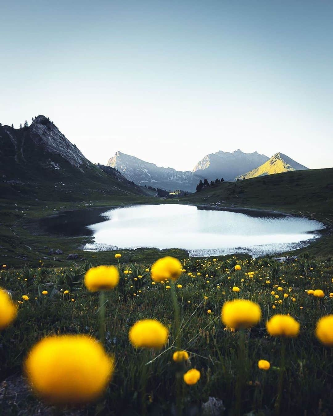 ペンフィールドさんのインスタグラム写真 - (ペンフィールドInstagram)「Spring is on its way. @ludovicfremondiere • #france #alps #frenchalps #gaillard #rhonealps #frenchalpes #alpsmountains #alpsoutdoorz #alpsmountaineering #discoverearth #nakedplanet #planet_earth_shots #viewsfordays #mountainscapes #mountainlovers #mountainphotography #mountainworld #mountainadventures  #roamtheplanet #earthpix #stayandwander #choosemountains #penfieldscenes」3月17日 21時58分 - penfieldusa