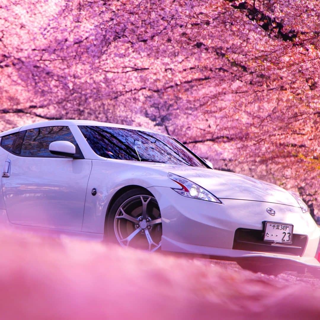 Nissanさんのインスタグラム写真 - (NissanInstagram)「#Sakura is coming! #Nissan #Nissan370Z 📸 @shinya.z34」3月17日 22時00分 - nissan