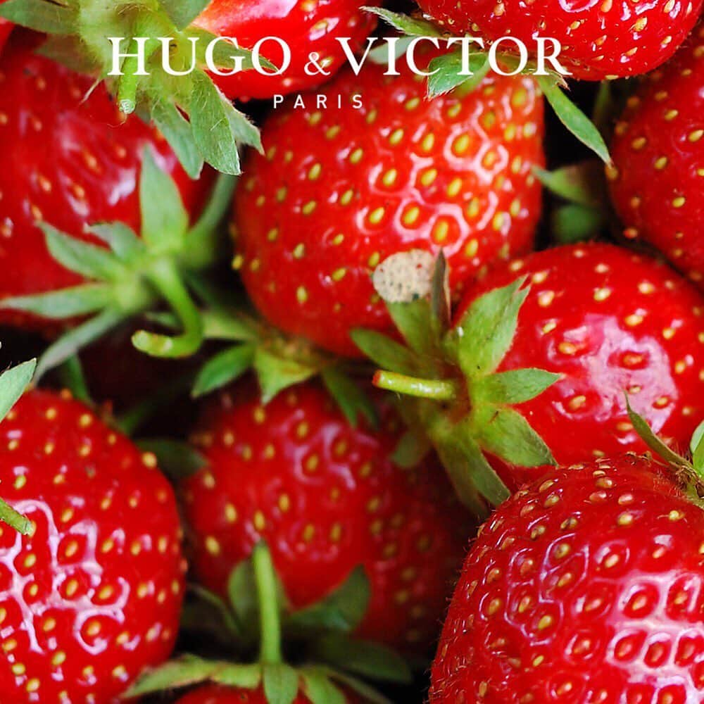 HUGO & VICTORのグルメインスタ