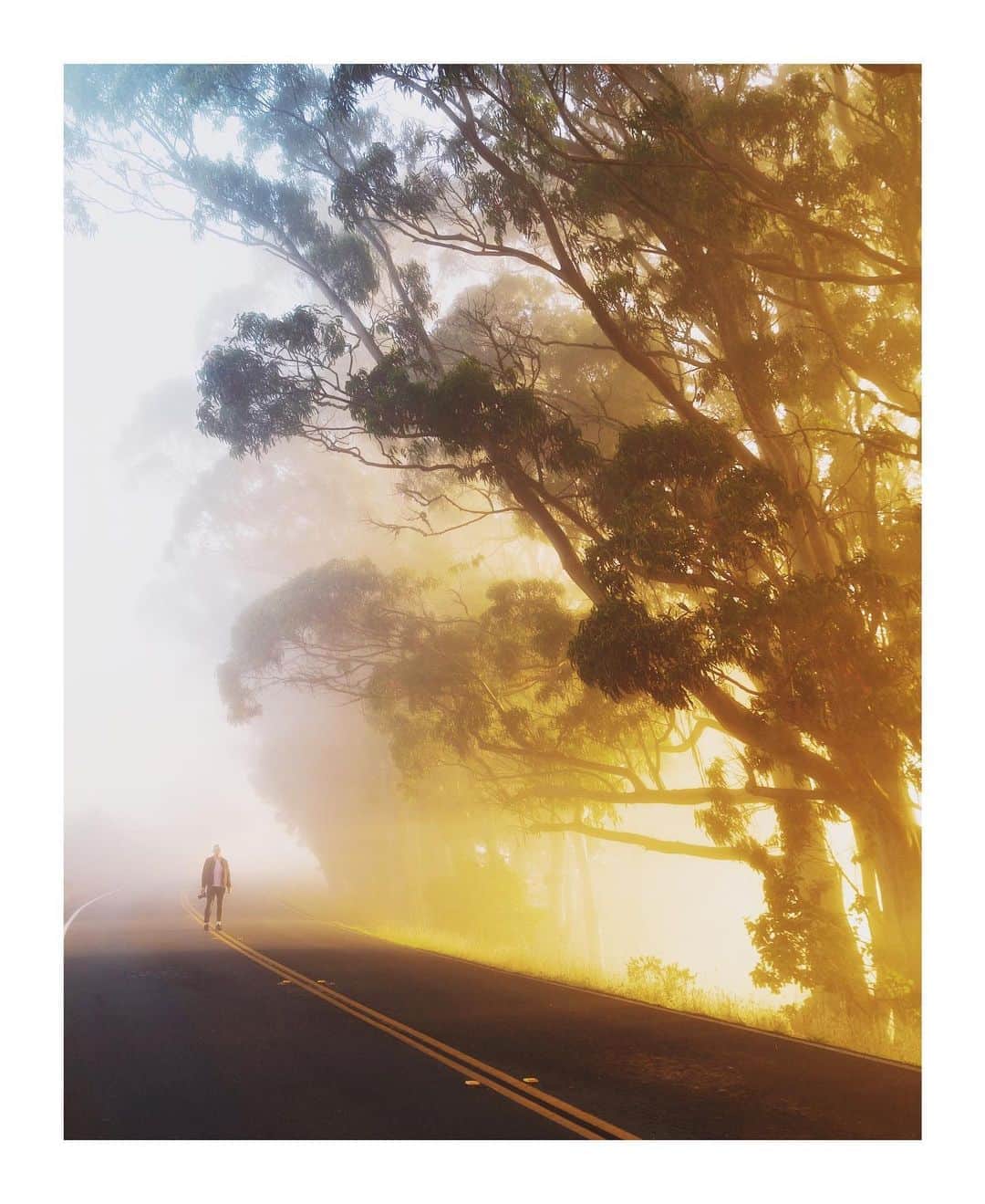 Cory Staudacherのインスタグラム：「Solitude」