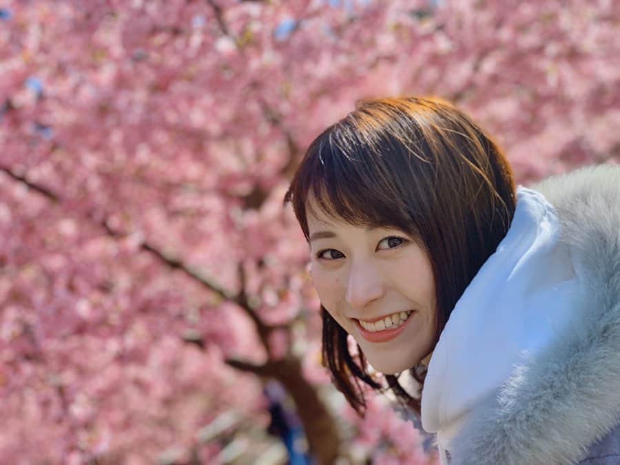 のインスタグラム：「いわきの河津桜、満開でした🌸  今年は満開の桜の下で宴会🍻は難しそうですが、せっかく綺麗に咲いてくれた桜。楽しみたいですね☺️🌸 . #いわき市 #21世紀の森公園 #河津桜 #桜 #お花見」