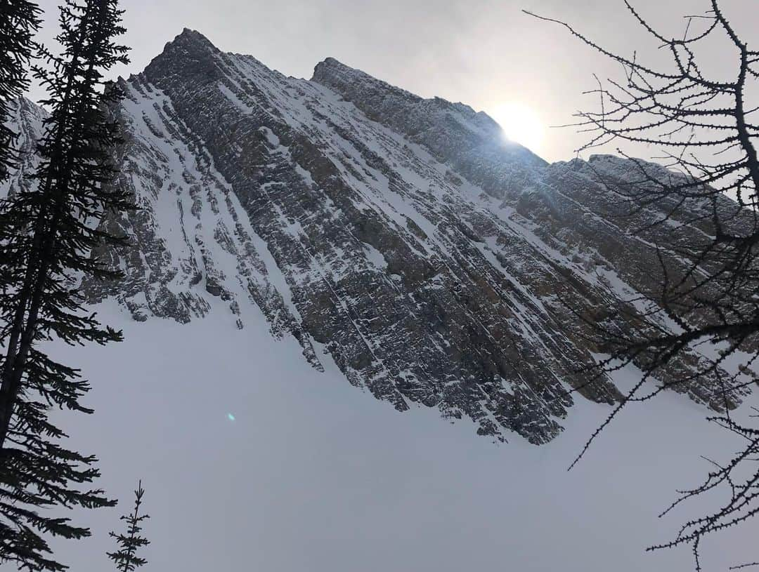 ヘイリー・ベルさんのインスタグラム写真 - (ヘイリー・ベルInstagram)「What a beautiful day for an adventure! 🏔 . . . #explorealberta #kcountry #kananasis #hiketherockies #canadianrockies #getoutthere #activeforlife」3月18日 10時45分 - hayleighbell