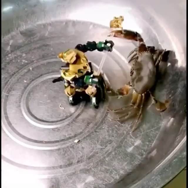 マイク・シノダのインスタグラム：「Saw this on TikTok, now I’m seeing it on IG...I don’t know who made the original video, but if you find out, give them a shout in the comments. Never thought RTN would be a “days with no sports” anthem 😂  btw i’m mshinoda on TikTok (which may be useful information as I lose my mind and start posting cabin fever videos)」