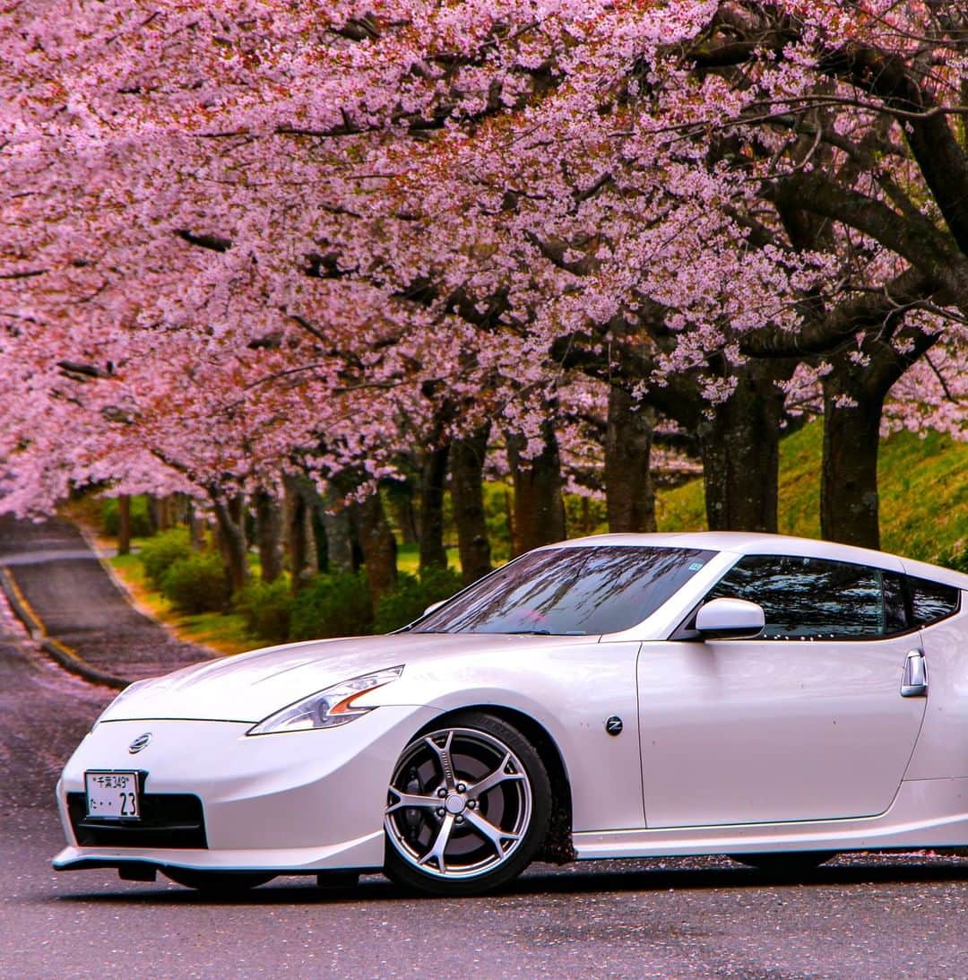 Nissanさんのインスタグラム写真 - (NissanInstagram)「#Sakura is coming! #Nissan #Nissan370Z 📸 @shinya.z34」3月18日 3時00分 - nissan