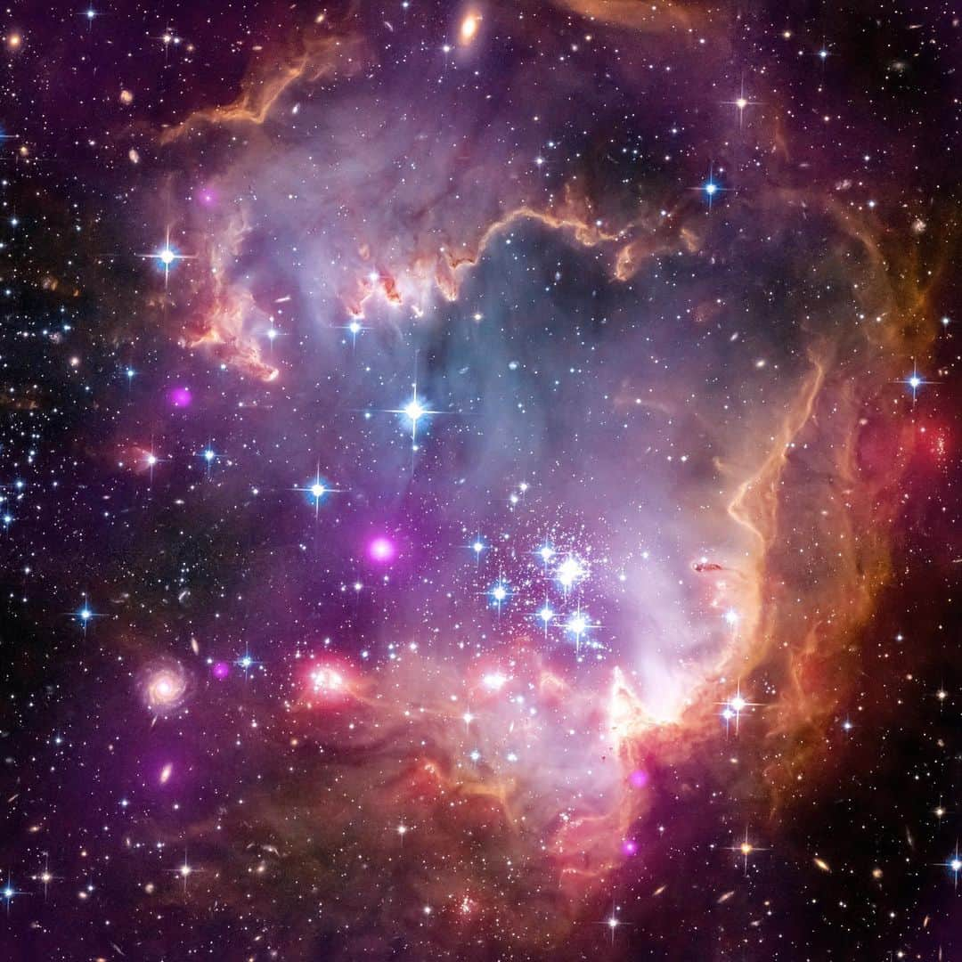 NASAさんのインスタグラム写真 - (NASAInstagram)「You are the center of somebody’s universe.⁣ 🌌 ⁣ Like the Small Magellanic Cloud, seen here, you glow with a universe of color and you help others find their way, without even knowing it.⁣ ⁣ Named after the explorer Ferdinand Magellan, this small galaxy orbits the Milky Way from 200,000 light-years away. It’s close enough that it’s visible to the unaided eye from the Southern Hemisphere. In this composite image taken by three of our space telescopes, X-rays from @nasachandraxray are shown in purple; visible light from @nasahubble is colored red, green and blue; and infrared observations from our Spitzer Space Telescope are represented in red. The Small Magellanic Cloud may be little, but it dazzles. You dazzle. Keep on dazzling. ⁣⁣Because you're the center of our universe. ⁣ #galaxy #nebula #nasa #yeahyou」3月18日 6時40分 - nasa