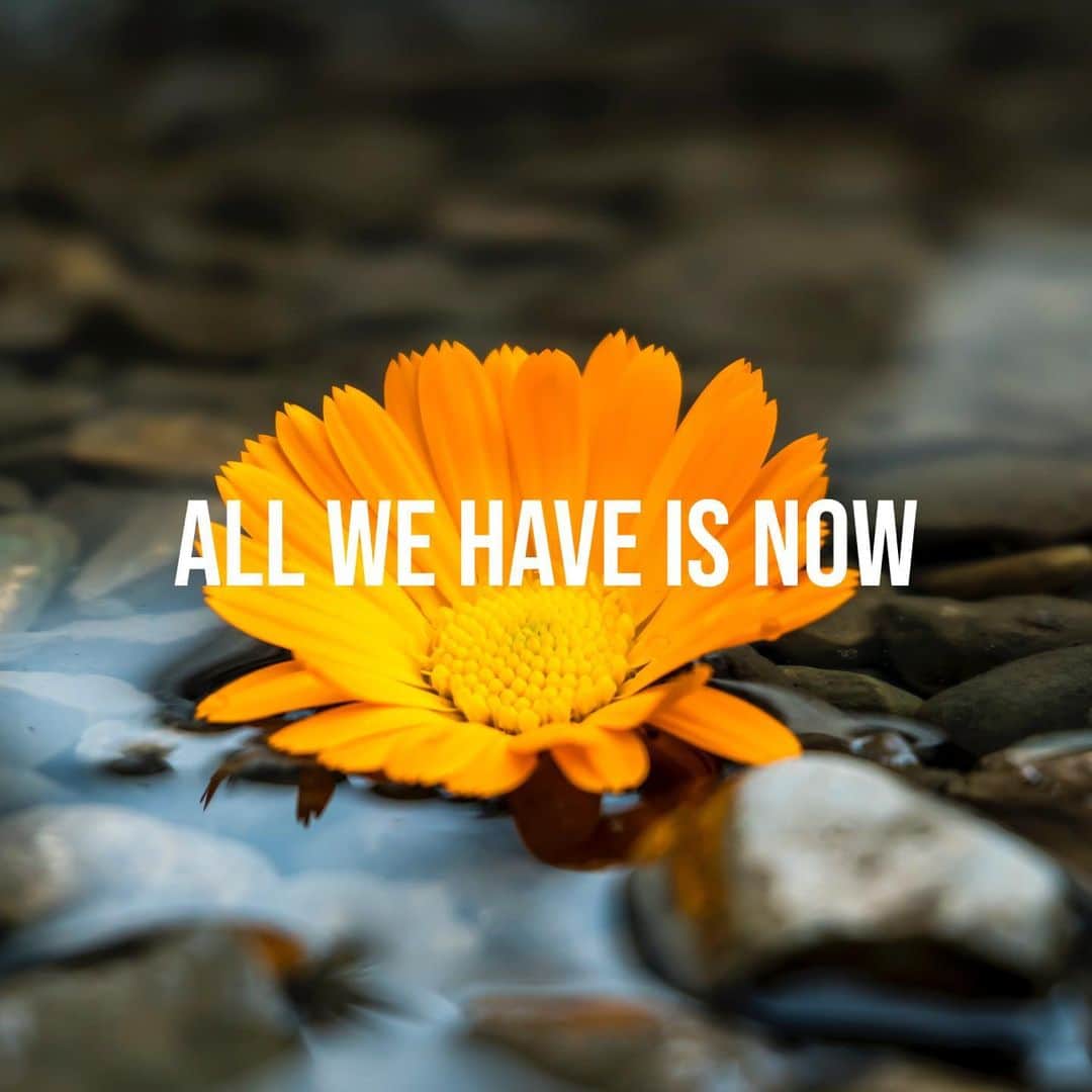 エゼキエルのインスタグラム：「All We Have is Now 〰️」
