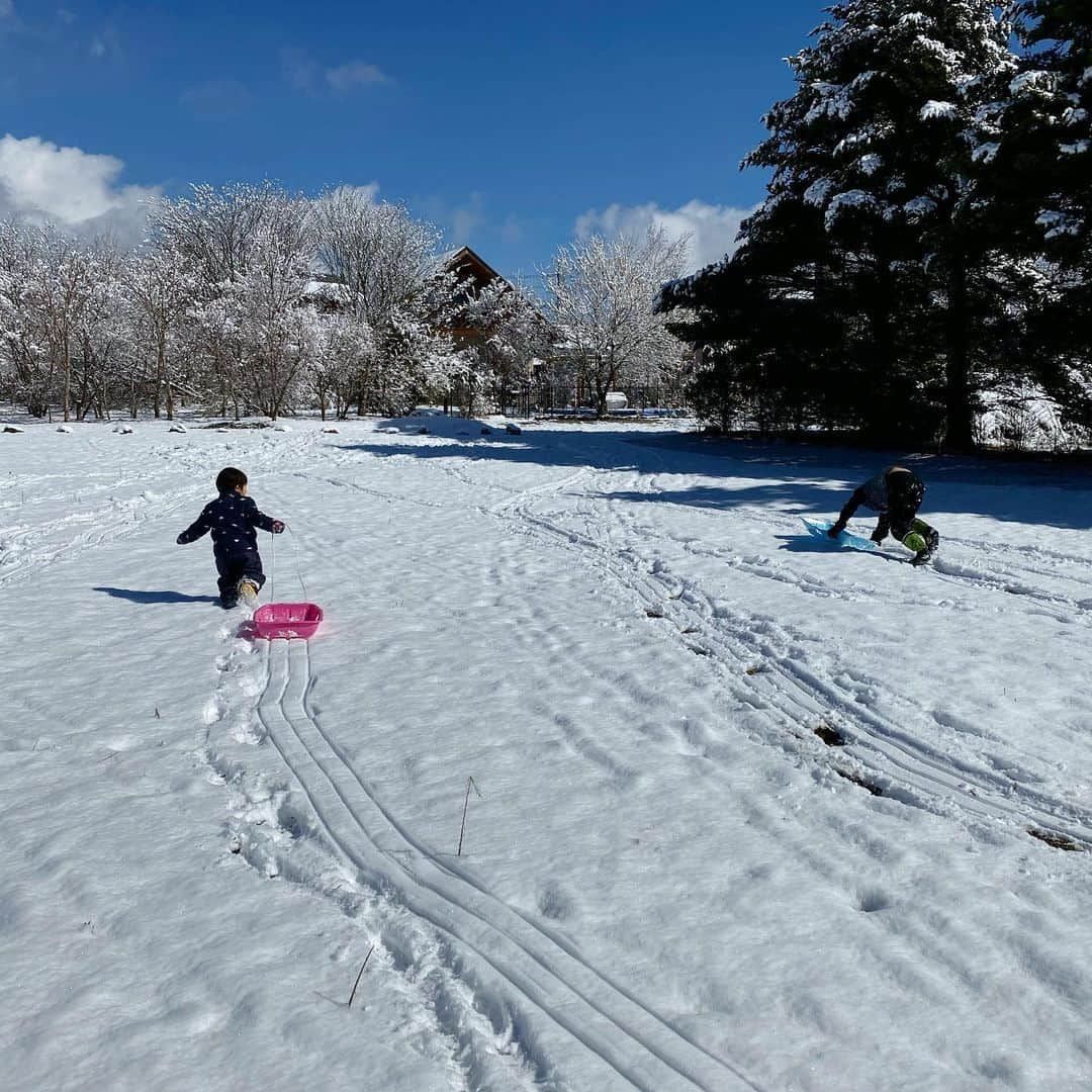 島崎直也のインスタグラム：「雪の日の兄弟  #軽井沢　#雪の日」