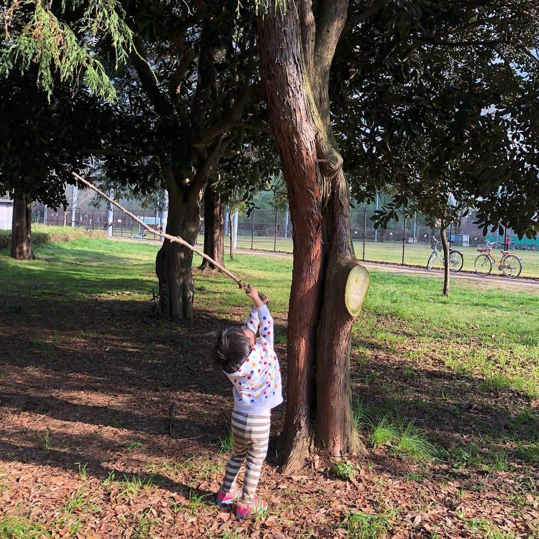 筧沙奈恵さんのインスタグラム写真 - (筧沙奈恵Instagram)「家族で小金井公園へ🌱 ・ エアソファーと　@nolcorporation_pr のテント持参で、芝生でゆっくりしたり、ボールで遊んだり😌 ・ 途中で4枚めのような謎の遊びをしたり（笑）夕方までたっぷり遊びました✨ ・ #小金井公園　#koganeipark #ピクニック　#picnic #テント　#エアソファー　#park #子連れお出かけ」3月18日 8時12分 - sanaekakei