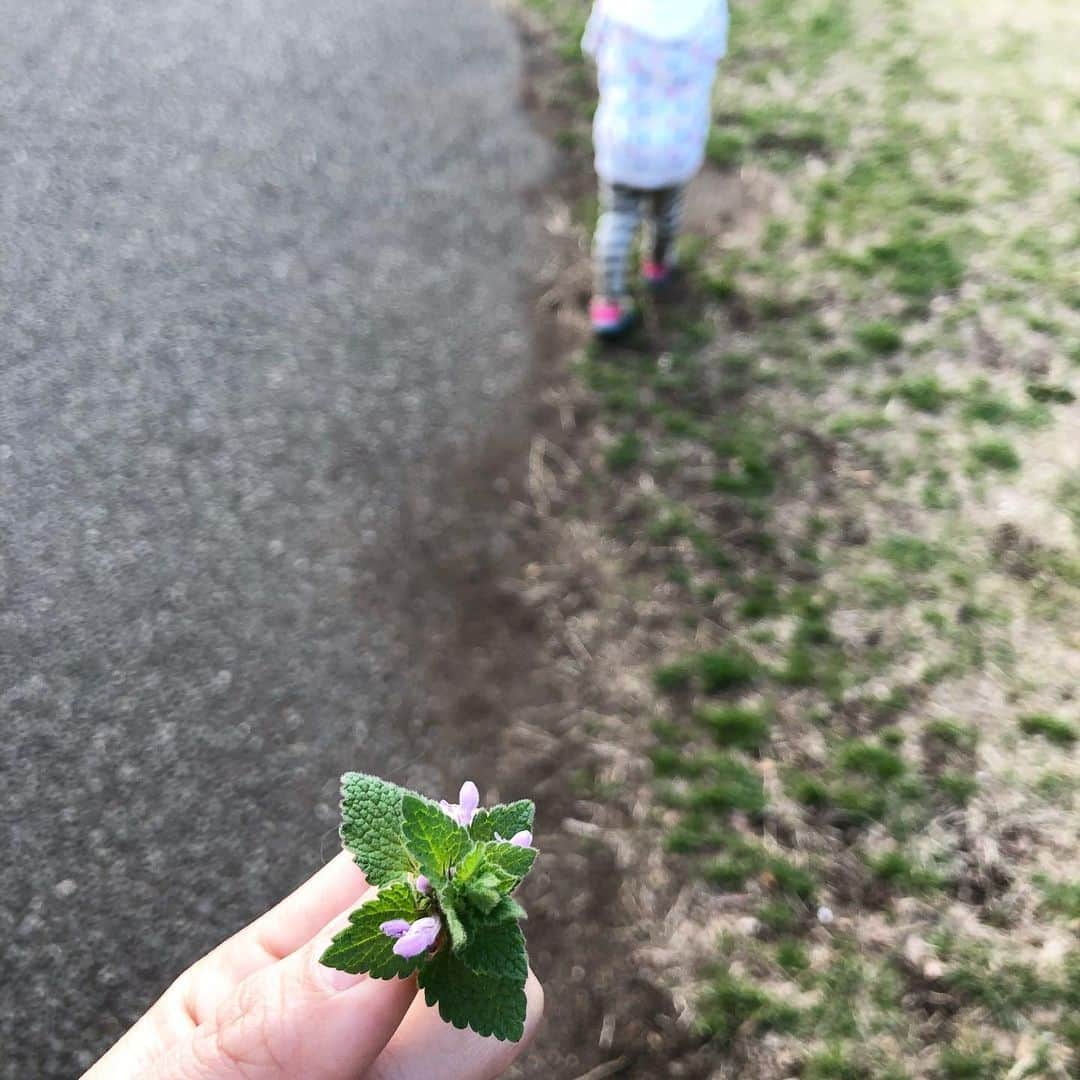 筧沙奈恵さんのインスタグラム写真 - (筧沙奈恵Instagram)「家族で小金井公園へ🌱 ・ エアソファーと　@nolcorporation_pr のテント持参で、芝生でゆっくりしたり、ボールで遊んだり😌 ・ 途中で4枚めのような謎の遊びをしたり（笑）夕方までたっぷり遊びました✨ ・ #小金井公園　#koganeipark #ピクニック　#picnic #テント　#エアソファー　#park #子連れお出かけ」3月18日 8時12分 - sanaekakei