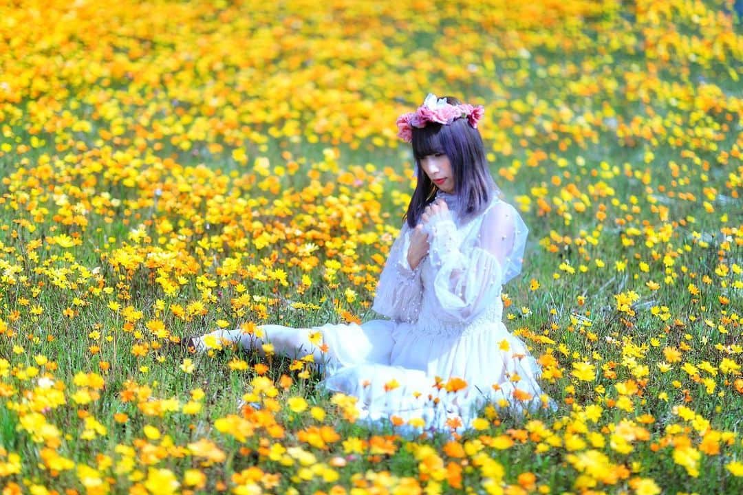 舘林佳史のインスタグラム：「夢かわファッションがよく似合う﻿ みるむちゃん👸﻿ @miru36_portrait  一面お花畑の夢のシチュエーションで撮影出来ました🌼🌸💐﻿ ﻿ みるみるの個撮受け付け中です🥰❣️ ﻿ ﻿ ༝༚┈❁┈༚༝༝༚┈❁┈༚༝༝༚┈❁┈༚༝༝༚┈❁┈﻿ ﻿ ◉ロケーション野外個人撮影について﻿ ◉全国の登録頂いているモデルさんと希望のスケジュールを合わせながら好きな日程や時間で個撮が楽しめます。﻿ モデルさんとゆっくり会話を楽しみながら緊張をほぐしてから表情を引き出して撮影して頂きたいと考えていますので基本の個撮時間を基本3時間15000円﻿ (1時間5000円)﻿ と大変リーズナブルな金額に設定させて頂きました。﻿ ﻿ ーーーーーーーーーーーーーーーーーー﻿ ◆撮影料金﻿ 個撮:1時間5000円﻿ 基本3時間より受付中！﻿ ⚫︎15000円(休憩時間移動込み)﻿ オプション﻿ ⚫︎水着：5000円﻿ ⚫︎下着:8000円﻿ ﻿ ⚫︎2名以上参加 1人につきプラス10000円﻿ ﻿ ーーーーーーーーーーーーーーーーーー﻿ こんな悩みをお持ちのカメラマンに﻿ おススメです✨﻿ ーーーーーーーーーーーーーーーーーー﻿ ✅ポートレート撮影をやってみたいけどモデルモデルが見つからない。﻿ ✅モデルと一対一でポートレート撮影したい。﻿ ✅撮影会だと撮りたい構図の写真が撮れない。﻿ ✅モデル2人でツイン撮影したい。﻿ ✅友達のカメラマンと一緒にモデルを撮りたい。﻿ ✅モデルとメイクさんを呼んで作品作りをしたい。﻿ ✅スタジオで個撮したい。﻿ ✅海や山で撮影したい。﻿ ✅水着撮影したい。﻿ ✅仕事帰りに撮影したい。﻿ ✅夜景やネオンで撮りたい。﻿ ✅フォトコンにチャレンジしたい。﻿ ✅美容院スタイリストの作品作りコンテストモデル探しや撮影をしたい。カメラマンも探している。﻿ ✅プロのフォトグラファーを 目指している。﻿ ✅プロのカメラマンと同行してもらって勉強したい。﻿ ✅自分の都合の良い日や時間に合わせて撮影がしたい。﻿ ーーーーーーーーーーーーーーーーーー﻿ 個人撮影の依頼お問い合わせは以下の内容を記入しLINE  ID510661(舘林)﻿ かDM下さい📩﻿ ーーーーーーーーーーーーーーーーーー﻿ 件名《個撮モデル依頼》﻿ ⚫︎氏名:﻿ ⚫︎年齢:﻿ ⚫︎お住まい:﻿ ⚫︎連絡先:﻿ ⚫︎LINE ID:﻿ ⚫︎カメラ歴: 年﻿ ⚫︎希望モデル名:﻿ ⚫︎希望日:﻿ ⚫︎希望時間:﻿ ⚫︎希望集合場所:  駅や施設名﻿ ⚫︎希望撮影地: 湘南  鎌倉 横浜 ○○公園 等﻿ ⚫︎移動手段: 徒歩  車﻿ ⚫︎希望衣装: ドレス・ロングスカート・ミニスカート・ワンピース・普段着・カジュアル・ショーパン・お任せ・着物・水着その他﻿ ⚫︎衣装(モデルさんに持って来て欲しい・自分で用意したい)﻿ ﻿ ーーーーーーーーーーーーーーーーーー﻿ #お花畑﻿ #花畑﻿ #ゆめかわ﻿ #夢かわいい﻿ #作品作り﻿ #ポートレートモデル﻿ #モデル﻿ #ポトレモデル﻿ #撮影会﻿ #撮影会モデル﻿ #撮影会イベント ﻿ #写真集﻿ #グラビアモデル﻿ #モデルデビュー﻿ #モデル募集﻿ #美人すぎる﻿ #撮影依頼﻿ #被写体モデル ﻿ #カメラが好き ﻿ #インスタ映え﻿ #ストロビスト﻿ #シューティング﻿ #撮影依頼募集中﻿ #ポートレート撮影﻿ #セクシーショット﻿ #ポートレートモデル募集 ﻿ #ファインダー越しの私の世界﻿ #ドラマティックストーリーフォト﻿ #AilinQ」