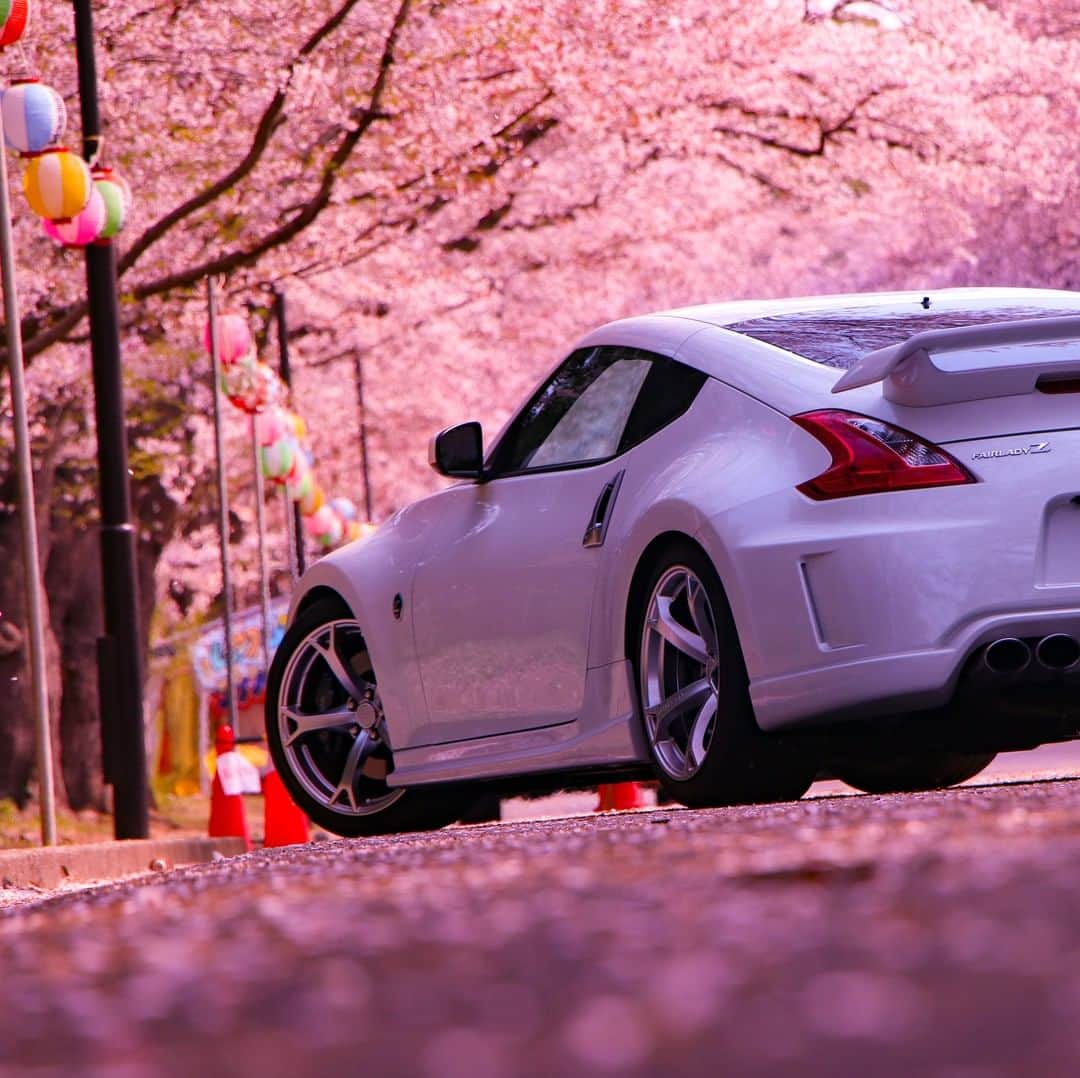 Nissanさんのインスタグラム写真 - (NissanInstagram)「#Sakura is coming! #Nissan #Nissan370Z 📸 @shinya.z34」3月18日 9時00分 - nissan