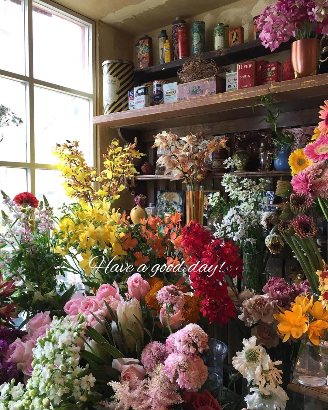 雑誌『花時間』さんのインスタグラム写真 - (雑誌『花時間』Instagram)「おはようございます。﻿ ﻿ 昨日、空き地でアカツメクサのお花を見つけました。春ですね🌸﻿ ﻿ こちらのお店は東京・表参道の『カントリーハーベスト』さん。﻿ ﻿ 草花を中心に、いつも150〜200品種ほどのお花をそろえる、まさに都会の楽園！﻿ ﻿ スカビオサ、ギリア、ルピナス…。4枚めのpicの白いお花はオルレア。野原で花摘みしている気分になっちゃうお店なんです。﻿ ﻿ 昨日は、かわいいイースターエッグ（3枚めのpic）も見つけて、ウキウキ💕﻿ ﻿ 棚に並ぶ雑貨の多くは、アメリカのブロカント。ディスプレイだと私もずーっと思っていたけど、じつは買えるそうなんです。﻿ ﻿ お花の器にしてみたい、おしゃれな空き缶もあるので、遊びに行ってみませんか？﻿ ﻿ ﻿ ﻿では、本日も元気smile😉😉😉で頑張りましょう！ by ピーターパン  花屋さん @country_harvest_ch  #flowers #flowerslovers #flowerstagram #flowerarrangement  #花時間 #花時間2020 #花好き #花藝 #花好きな人と繋がりたい #花が好きな人と繋がりたい #花のある生活 #花のある暮らし #花を飾る #花を飾る生活  #表参道  #おしゃれな花屋さん #botanicallife  #花屋さんへ行こう」3月18日 9時16分 - hanajikan_magazine