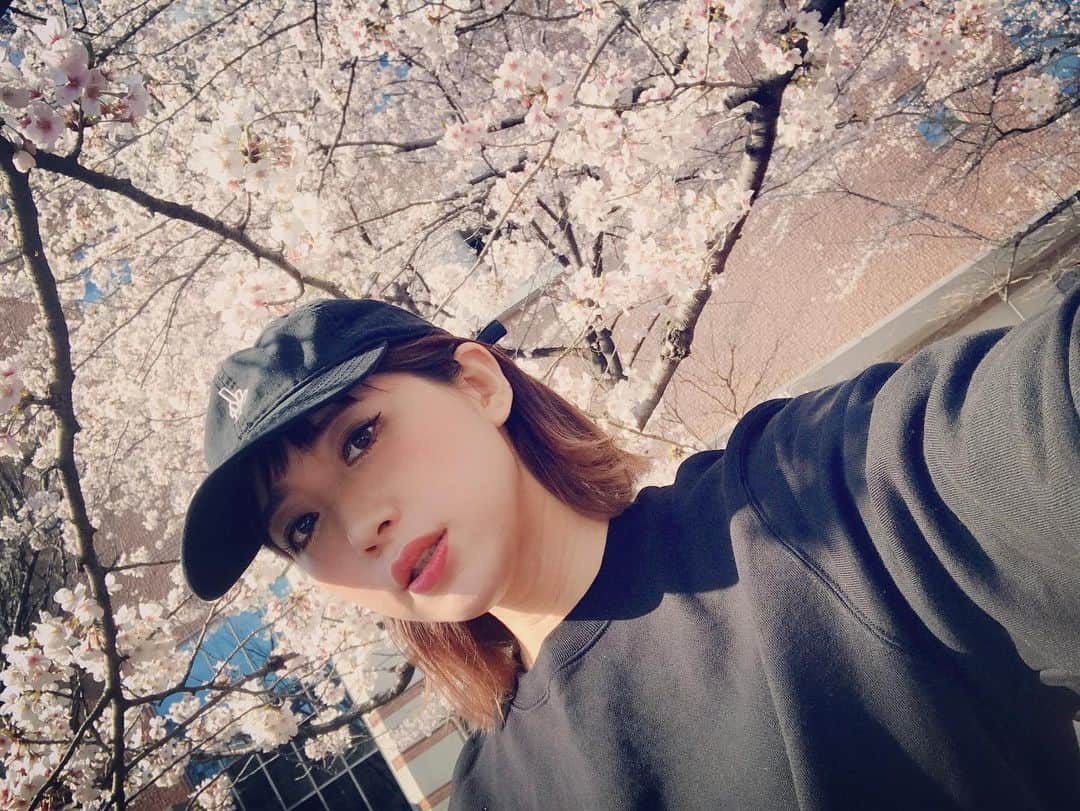 のインスタグラム：「🌸４月下北沢Veronica来店日🎤 ‪▪️8(水)‬ ‪▪️9(木)‬ ‪▪️14(火)‬ ‪▪️19(日)‬ ‪▪️21(火)‬ ‪▪️22(水)‬ ‪▪️24(金)‬ ‪「Artist Cafe & Bar Veronica」‬ ‪場所：世田谷区代田5-19-4 B1下北沢VOICE FACTORY‬ ・ ・ ４月はたくさんみんなと会えます〜🌸#下北 に会いに来てね〜🌸 ・ ・ ・ #インスタに載せる写真がほんとにない #桜🌸 #桜の花 #桜の花びら #桜色 #花びら #春の訪れ #春よ来い #cherryblossom🌸 #cherryblossomseason #springflowers🌸 #flowerpic #flowerinstagram #flowerphoto #miaka」