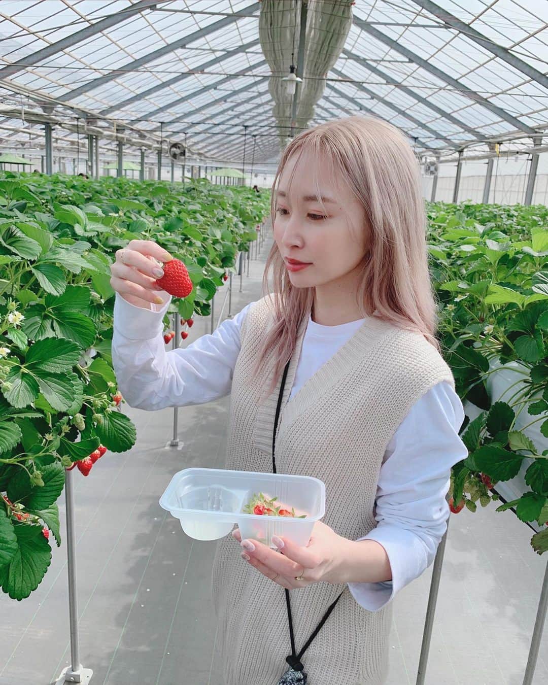榊原伶奈のインスタグラム：「毎年行ってるいちご狩り 今年は埼玉方面に行ってきた🍓✨ ここのいちご狩り園めっっっちゃ広いし立っていちご狩り出来るし苺美味しいし最高でした🥺❤️ . #いちご狩り　#いちご #苺狩り  #埼玉いちご狩り #川越いちご狩り  #川越 #川越散策 #川越グルメ #147センチ #150センチ以下」