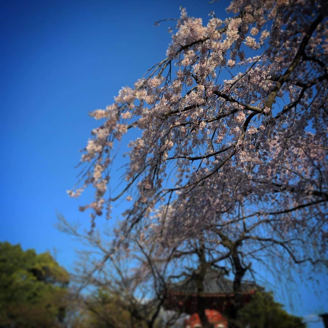 今野浩喜さんのインスタグラム写真 - (今野浩喜Instagram)3月18日 20時18分 - comnohiroki