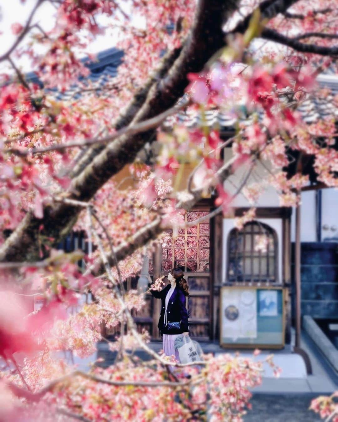 Yukicoさんのインスタグラム写真 - (YukicoInstagram)「𓇣 𖥧 𓇣 𖥧 𓇣 𖥧 𓇣 . 紺ブレで春はがんばると決めました笑 ミニマリストと呼んでください♥︎ . 果たしてこの桜 間に合っていたのか微妙なカンジ ギリギリセーフということで🌸 . . . . 紺ブレで隠れるといえど 手抜きできないのがワンピース ごはんのとき脱ぐじゃないですか . @majicalsherry_lme でしっかり締めてます❀︎ この後姿勢を正してダイエット‼︎ カフェタイムずっとこらえてました笑笑 . ‥‥‥‥‥‥‥‥‥‥‥‥‥‥‥‥‥‥‥‥‥‥‥‥‥‥‥‥‥‥‥‥‥‥ #springfashion#springstyle#travelgram#traveller#wonderful_place#special_shots#best_photogram#streetphotography#street#churchs#sakura#cherryblossom#kyotosightseeing#japansightseeing#tetsugakunomichi#kyototrip#cherryblossoms#flower_perfection#kyotojapan🇯🇵 #京都桜#京都桜巡り#長徳寺#桜#ゆるほわ倶楽部#さくら倶楽部#さくら倶楽部2020#さくらテロ2020#京都桜 #リフレクションのある景色#着回しコーデ#紺ブレ」3月18日 20時17分 - yukicolifecom