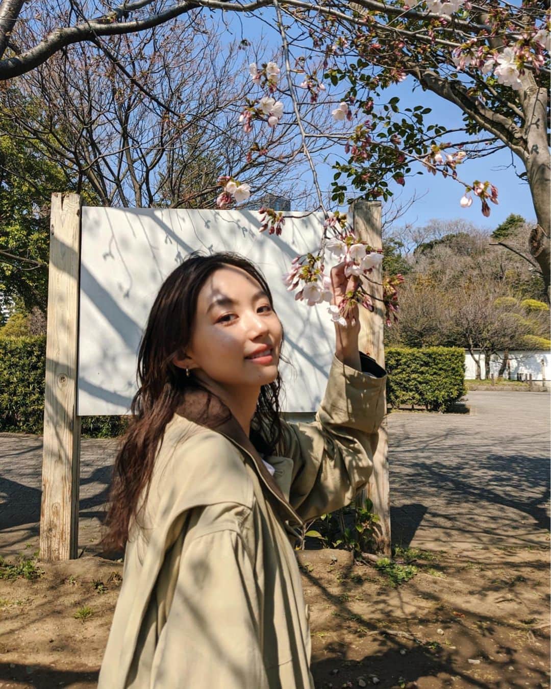 Shiho Sasakiさんのインスタグラム写真 - (Shiho SasakiInstagram)「あったかくなってきて昼間はOuterいらないくらい✌️ ひと足早く咲いてる桜みーつけた🌸 散歩が気持ちいい季節ですね💭 #cherryblossom」3月18日 20時20分 - shihomurata0718