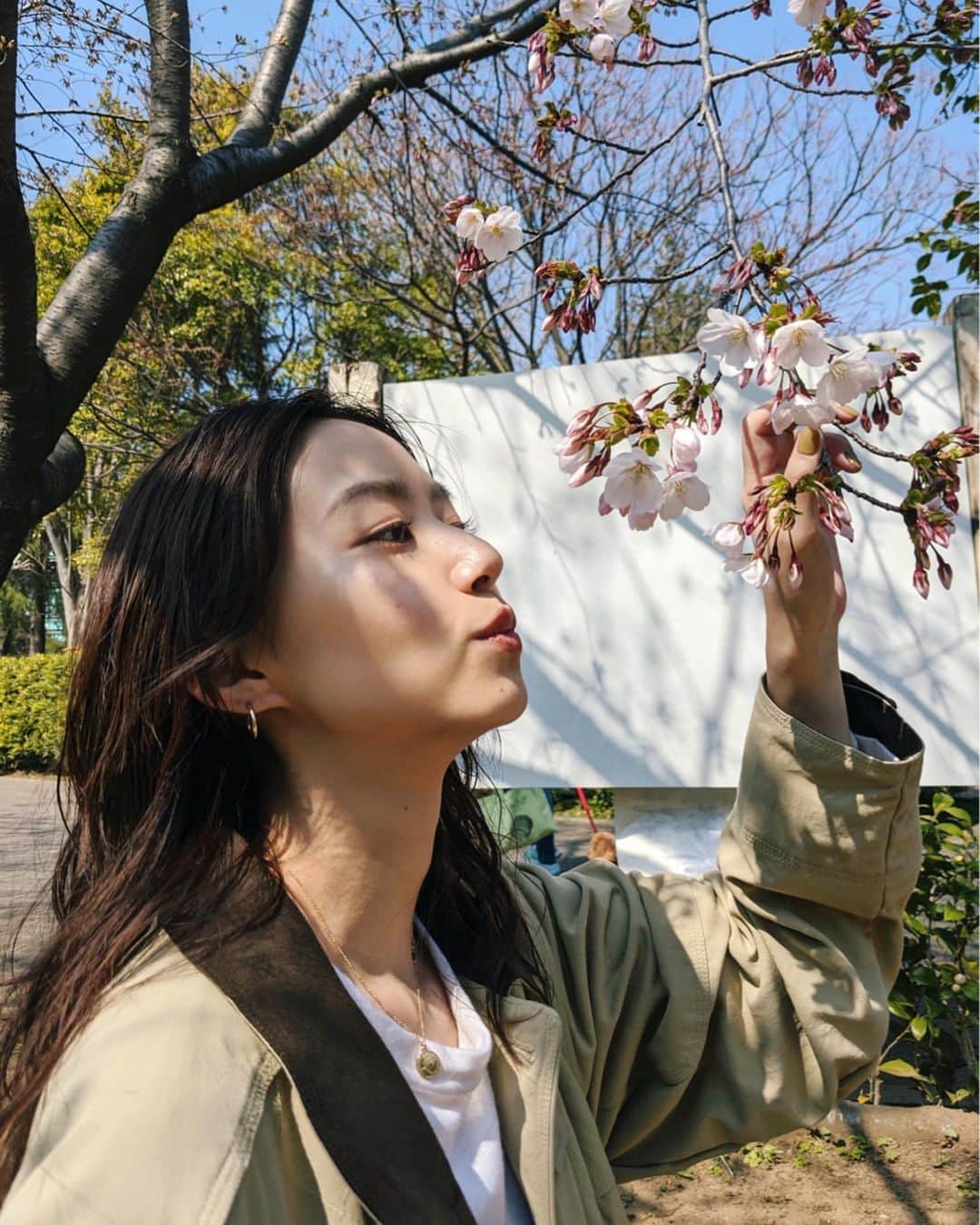 Shiho Sasakiのインスタグラム：「あったかくなってきて昼間はOuterいらないくらい✌️ ひと足早く咲いてる桜みーつけた🌸 散歩が気持ちいい季節ですね💭 #cherryblossom」