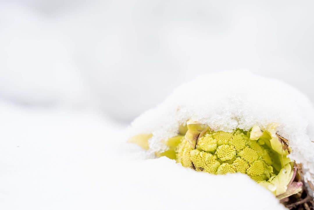 山人のグルメインスタ