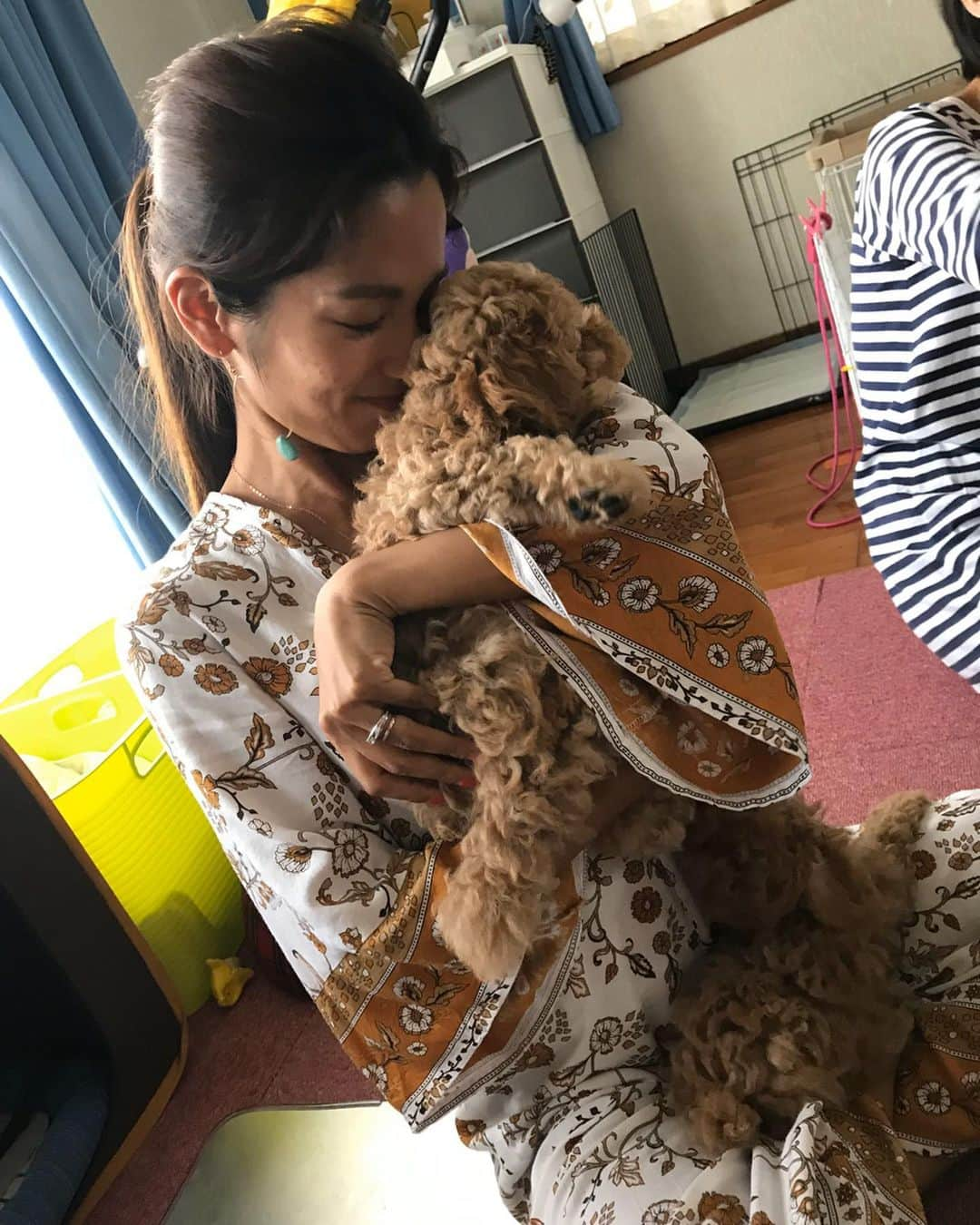 岡根直哉さんのインスタグラム写真 - (岡根直哉Instagram)「長太郎1歳おめでとう！！ . 犬も猫も一緒に生活するのは初めての経験やけど、 ペットを家族と言う人の気持ちが分かった。  これは家族やわ🐩🐈 . ずっとわんぱくで元気な長太郎で🙏🏾❤️ .  #犬と猫のいる暮らし  #最高 #happybirthday」3月18日 20時36分 - naoya_okane