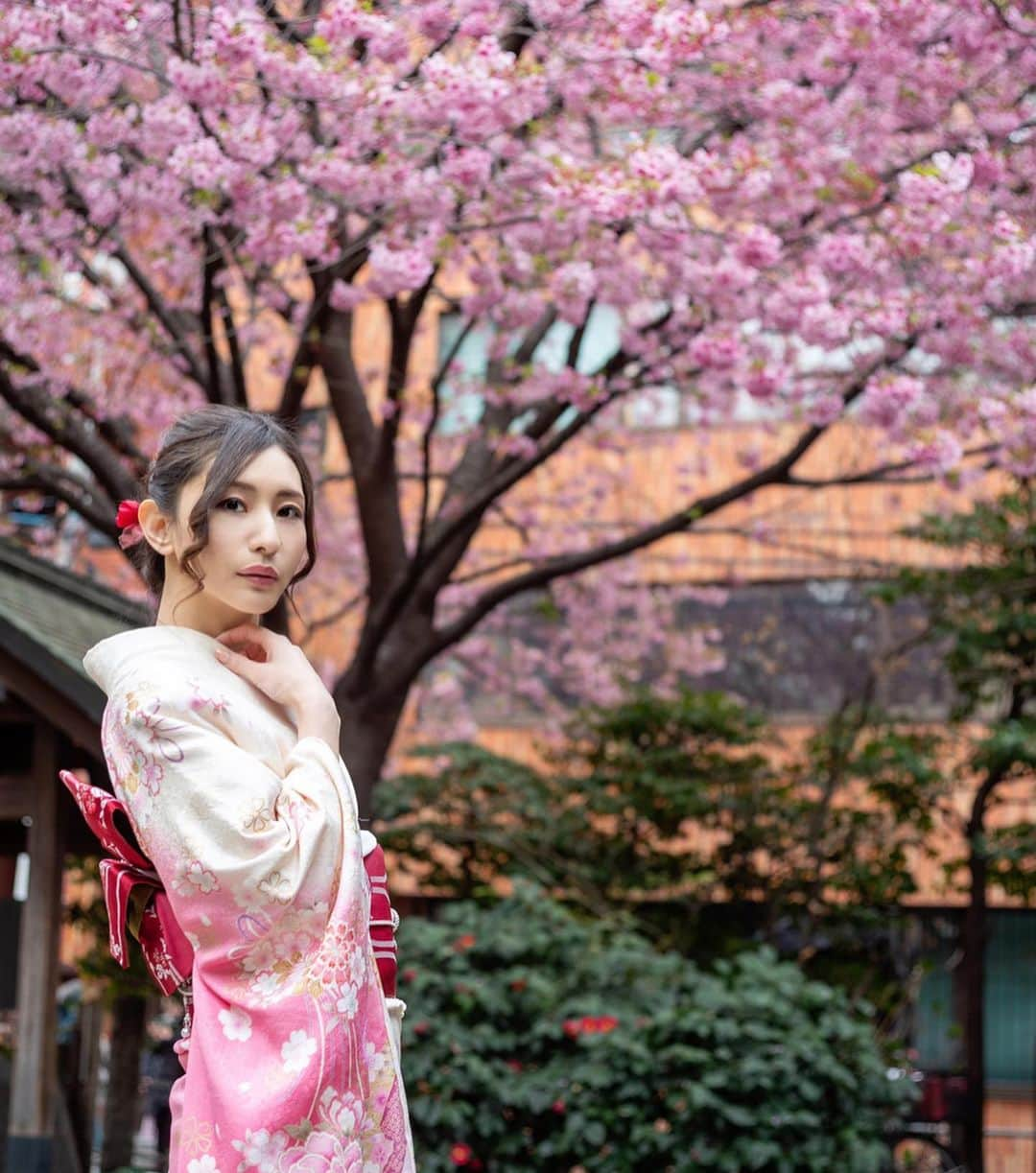 青山千夏さんのインスタグラム写真 - (青山千夏Instagram)「春先どり🌸 この頃はまだあんまり咲いてなかったけど、最近開花宣言あったし今はもっと咲いてるのかなあ〜😲 . . . . #振袖 #振り袖 #着物 #和服 #日本文化 kimono #japaneseculture #furisode  #japanesegirl #follow #followｍe #フォロー #フォローミー #撮影 #ファッション #モデル #ヘアアレンジ #桜 #cherryblossom」3月18日 20時34分 - chinatsu_aoyama0819