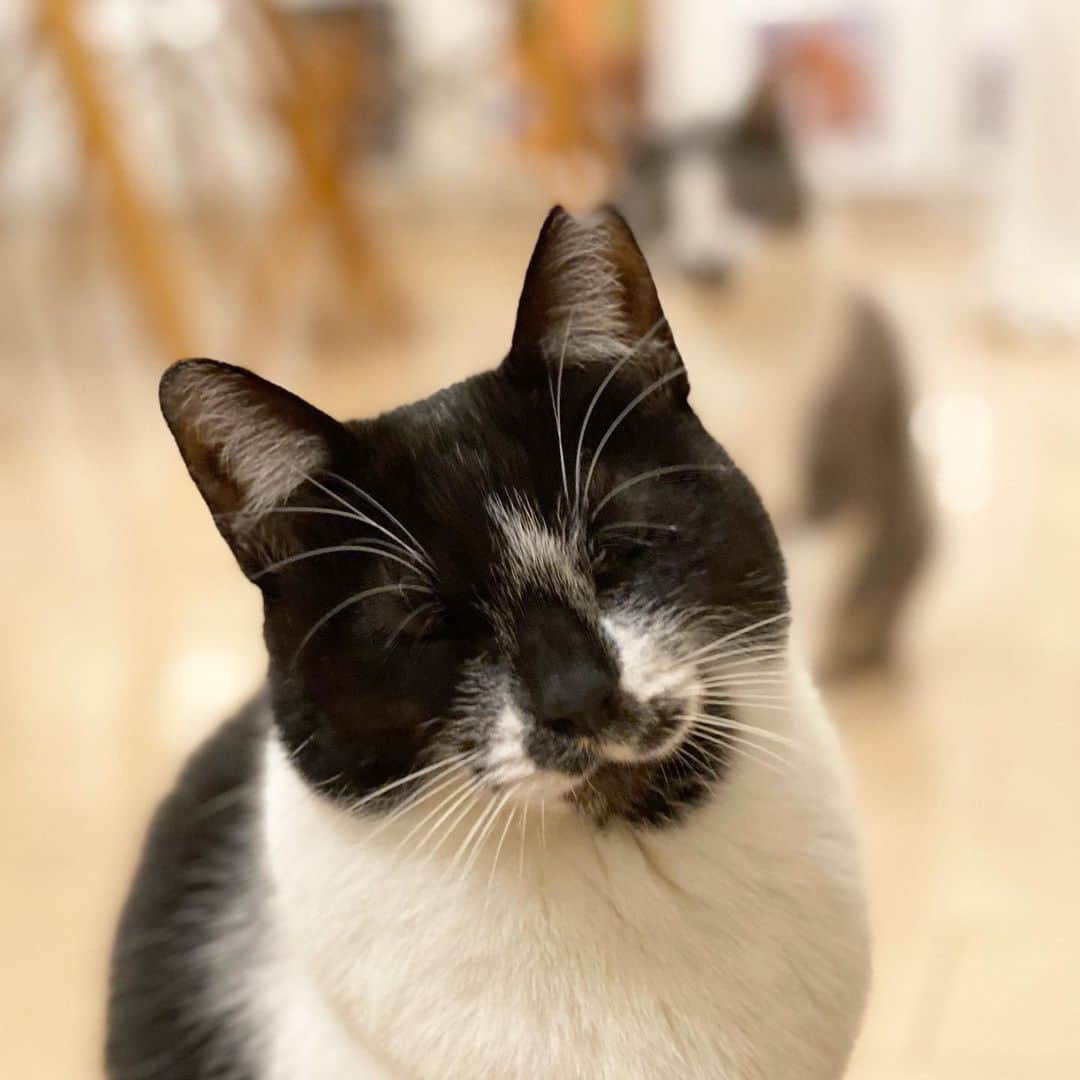 くまお父のインスタグラム：「メシ、念じすぎ。 #父がいます #父水曜日は早帰りデー」