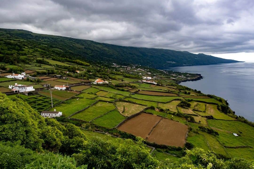 National Geographic Travelさんのインスタグラム写真 - (National Geographic TravelInstagram)「Photo by @KristaRossow | Crops bordered by lava rock fences make a jigsaw puzzle out of the verdant landscape on Pico Island in the Azores. This archipelago of nine islands in the Atlantic Ocean is about 850 miles west of the Portuguese mainland and is what I consider a little slice of paradise!  To see more photos from my travels, follow me @KristaRossow. #Portugal #Azores #Pico」3月18日 13時10分 - natgeotravel
