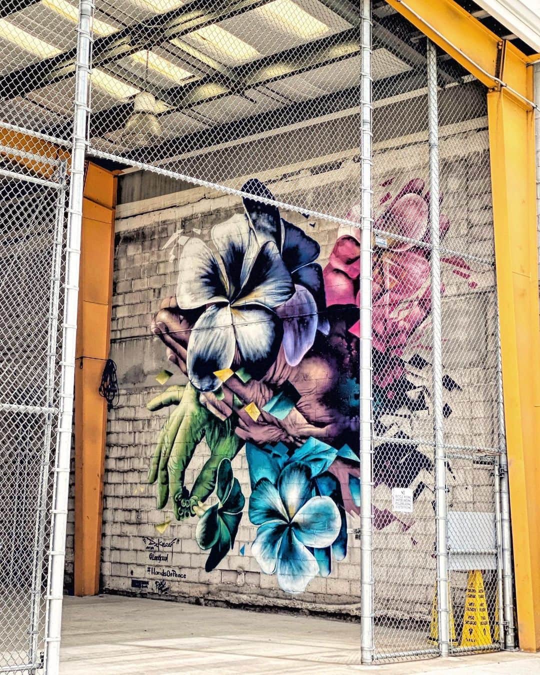 Yuma Yamashitaさんのインスタグラム写真 - (Yuma YamashitaInstagram)「﻿ ﻿ ﻿ スマホでも十分いい写真たくさん撮れた🌈﻿ iPhone11 pro﻿ ﻿ ﻿ #ハワイ﻿ #ホノルル﻿ #ワイキキビーチ﻿ #カカアコ﻿ #ウォールアート﻿ #ノースショア﻿ #ワイケレ﻿ #ハレイワ﻿ #ウミガメ﻿ #この木なんの木﻿ ﻿ ﻿ またすぐ行きたいなー🌺﻿ ﻿ ﻿」3月18日 13時31分 - yuma_andagi