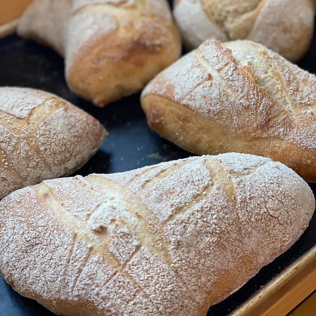 魔女菅原のグルメインスタ